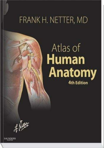 Netter Basic Science Ser.: Human Anatomy by Frank H. Netter (2006, Perfect)