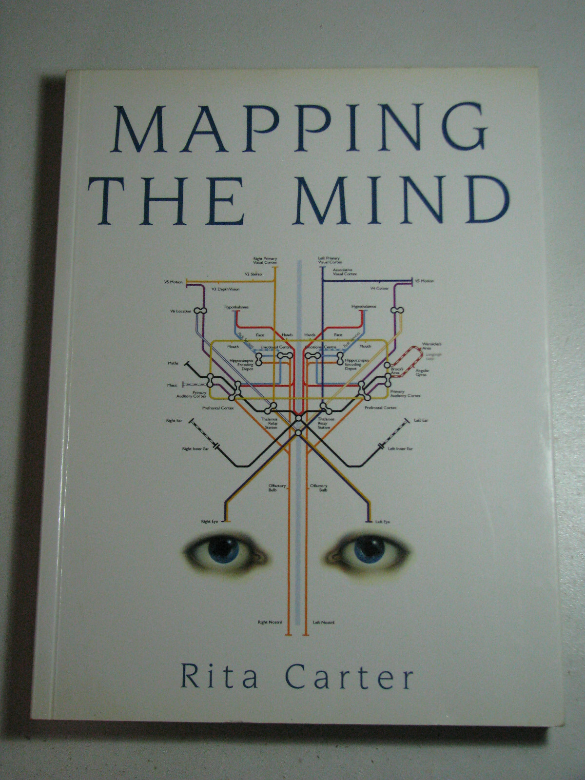 MAPPING THE MIND by Rita Carter 1999 Paperback Brain Science Structure Function