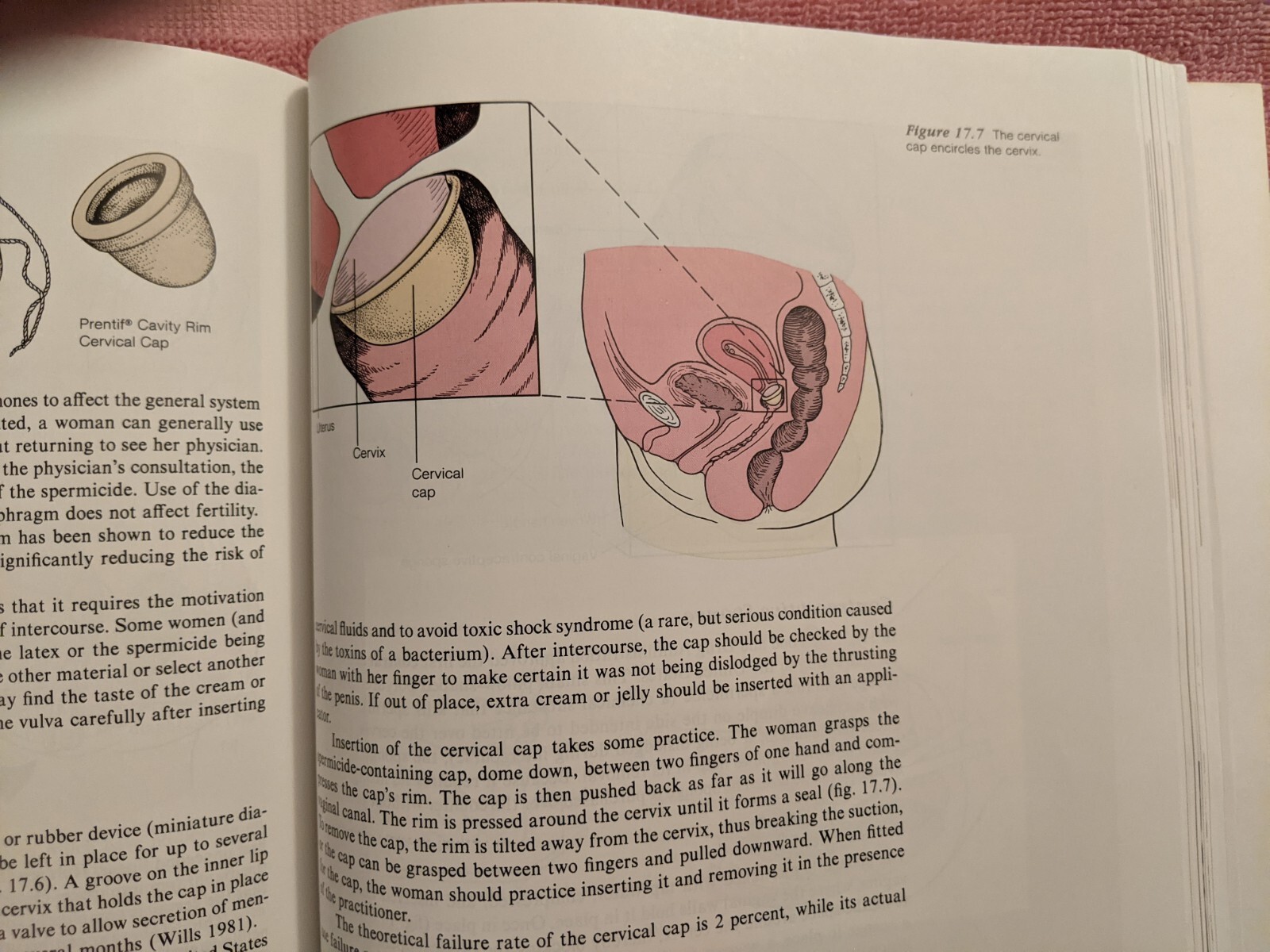 Byer et al, DIMENSIONS OF HUMAN SEXUALITY, 1988, PB, Second Edition, 656 Pages