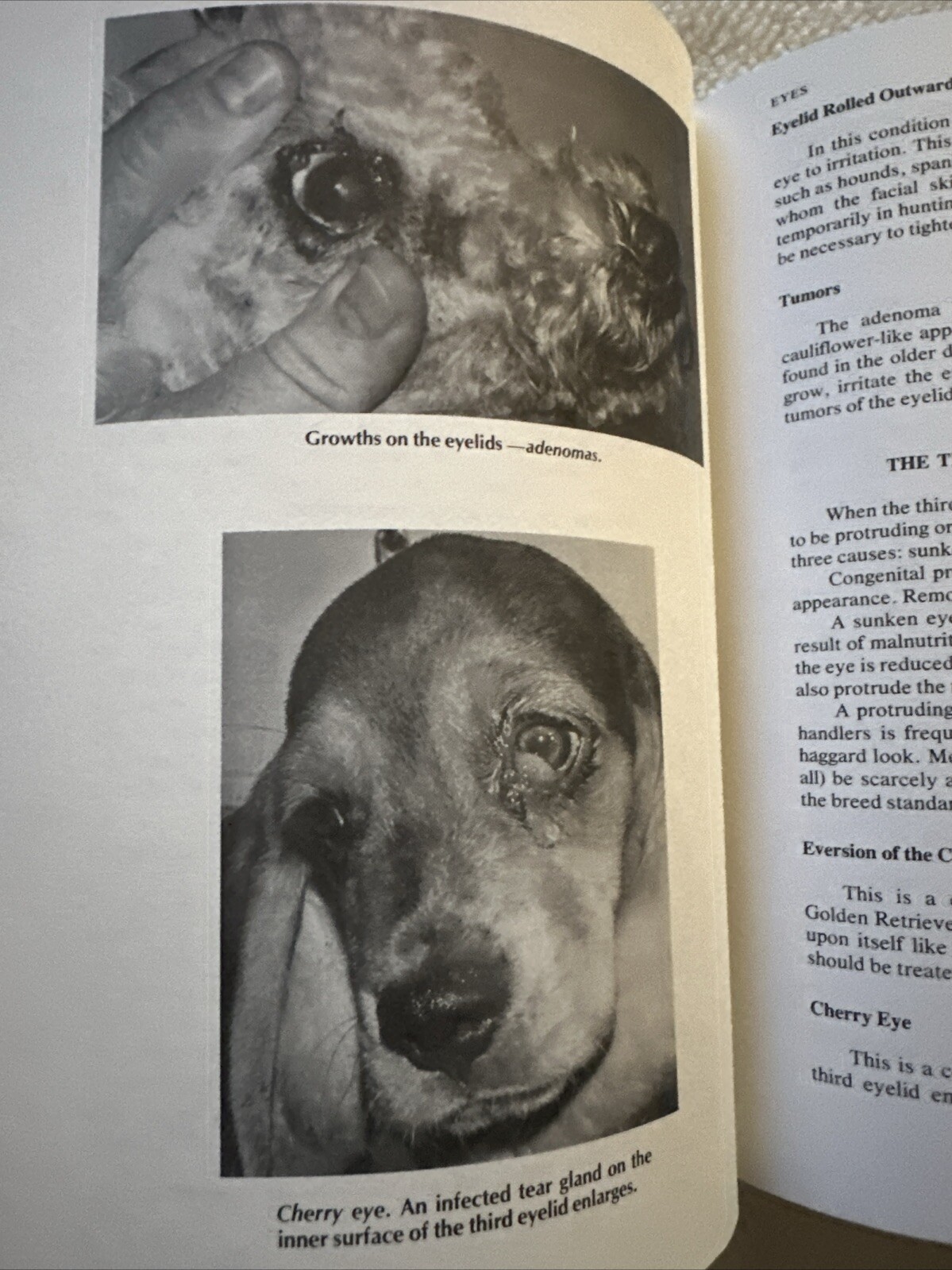 Dog Owner’s Home Veterinary Handbook Hardcover 364 Pages