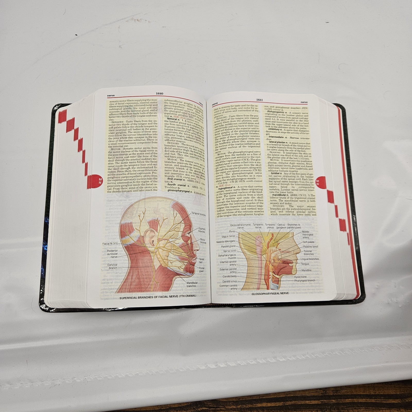 Taber’s Cyclopedic Medical Dictionary by Donald Venes 2021 Illustrated Paperback