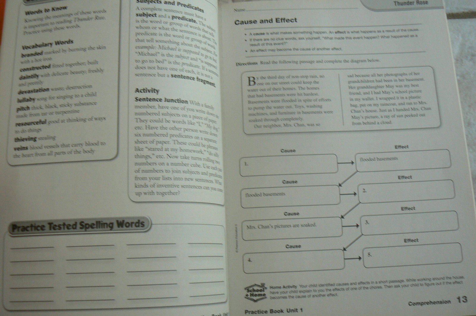 Scott Foresman Reading Street, gr. 5/5th LN Text & NEW Workbook! 2009