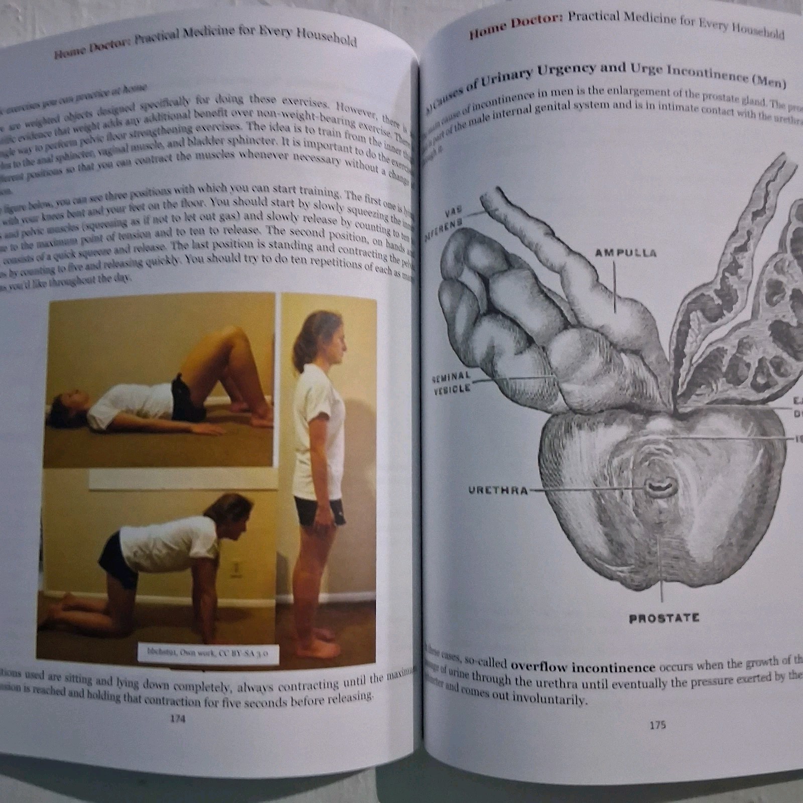 Home Doctor – Practical Medicine for Every Household Paperback