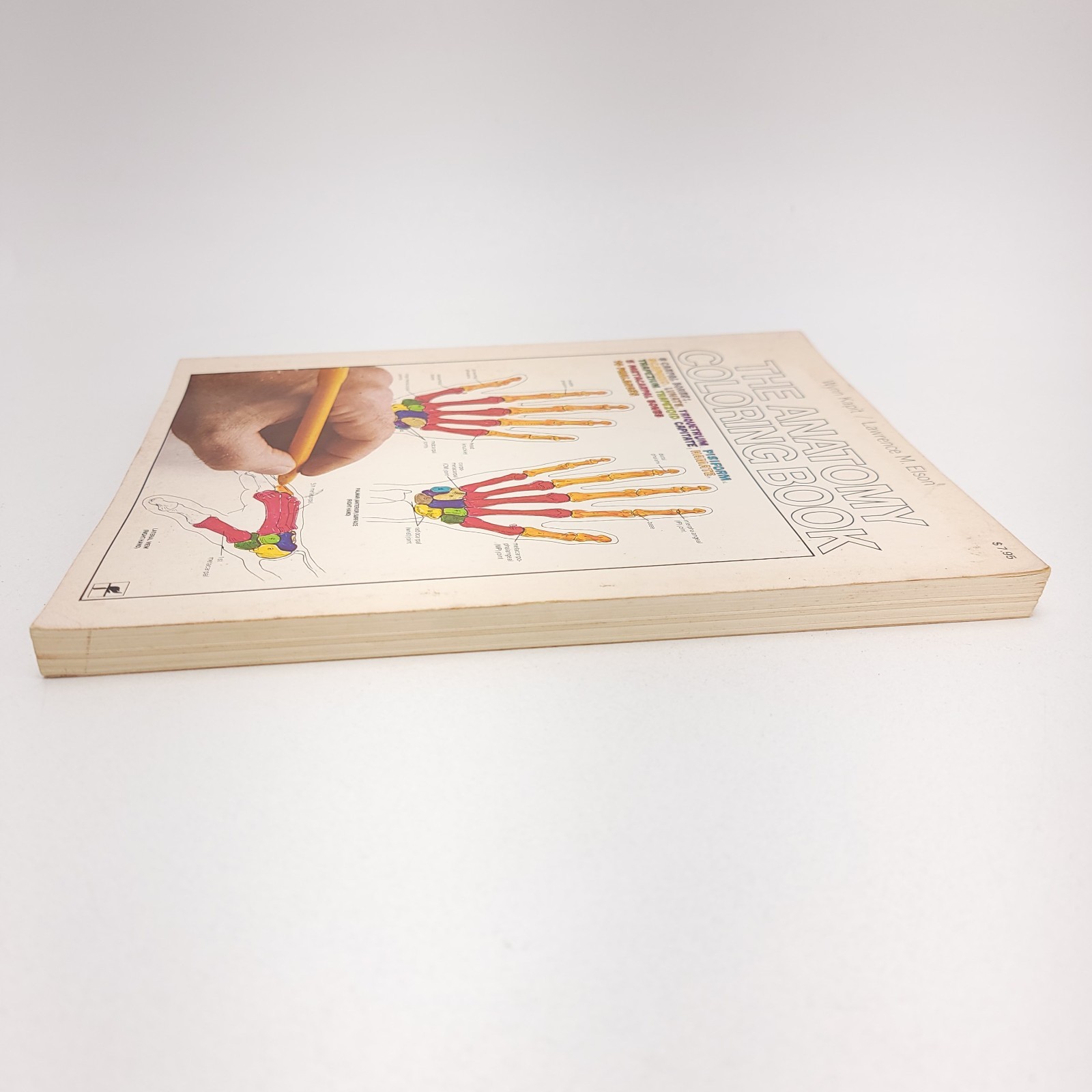 The Anatomy Coloring Book – Paperback By Kapit, Wynn 1977 Unused