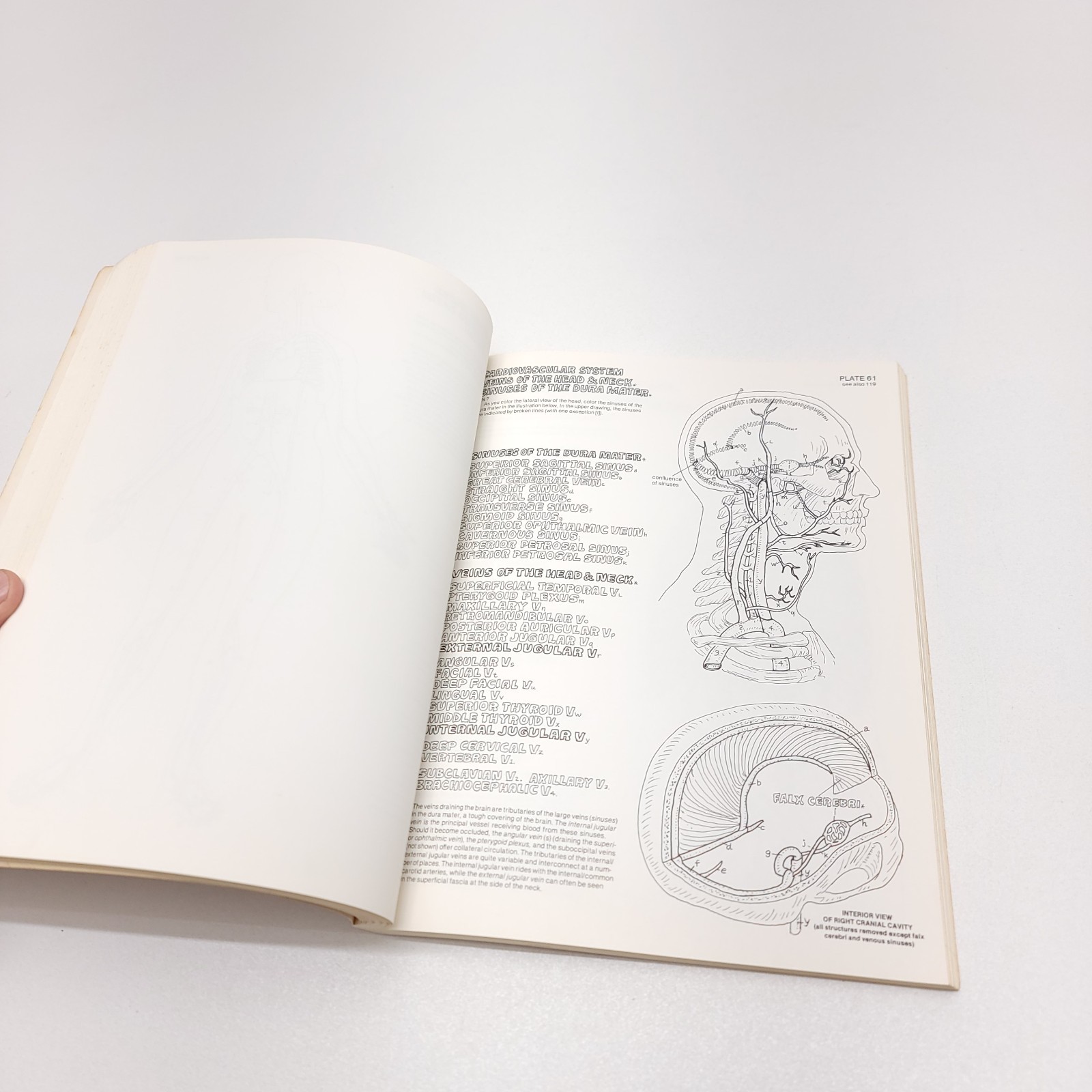 The Anatomy Coloring Book – Paperback By Kapit, Wynn 1977 Unused