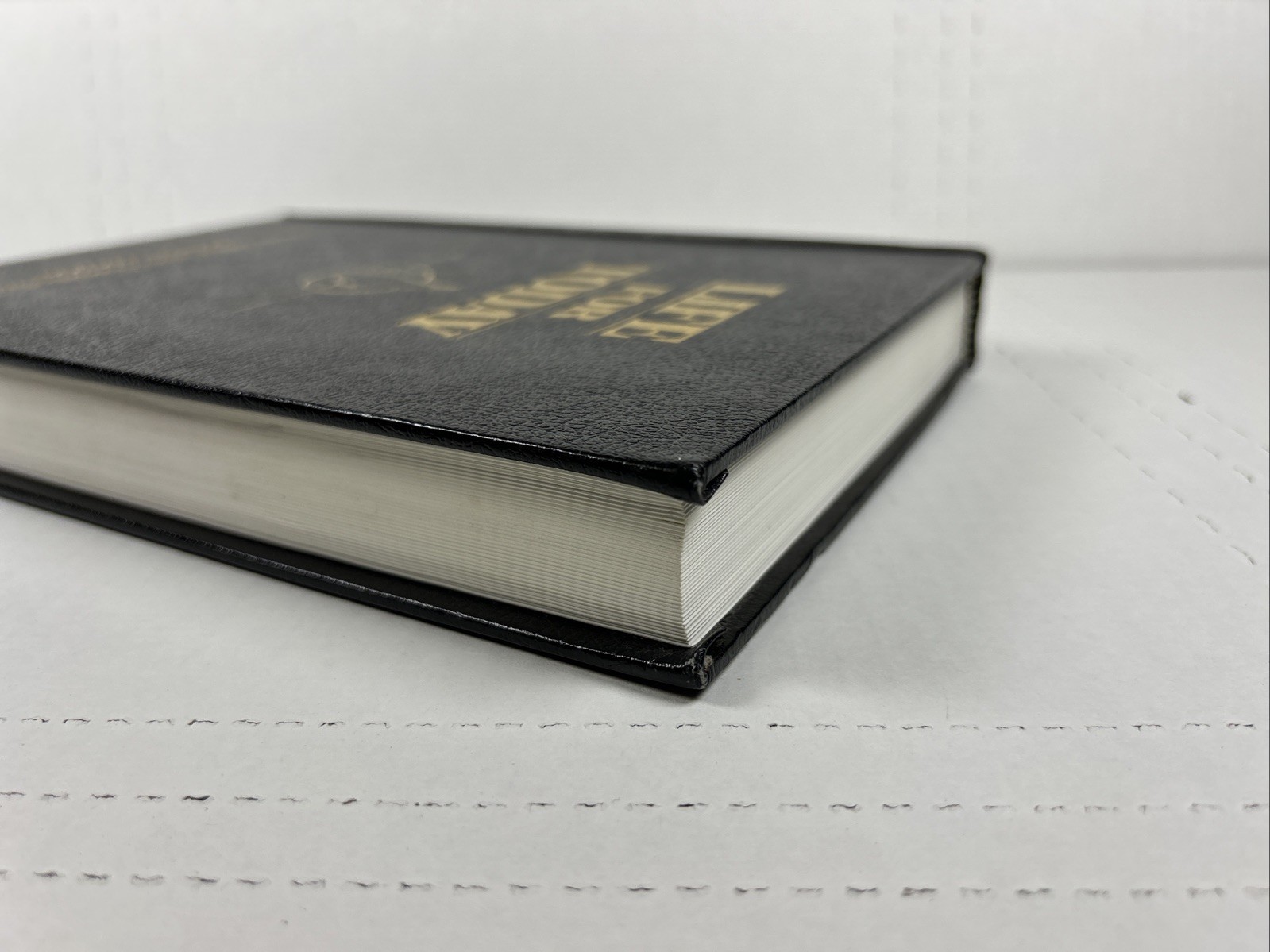 Life for Today: Study Bible and Commentary Gospels Edition by Andrew Wommack