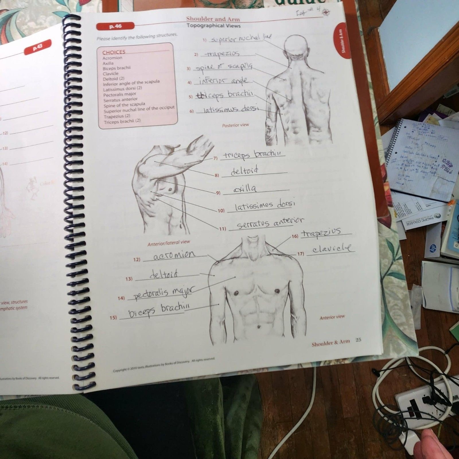Trail Guide to the Body A&P Texbook+WorkBook & Coloring + Cards: WOW Lot of 5!!