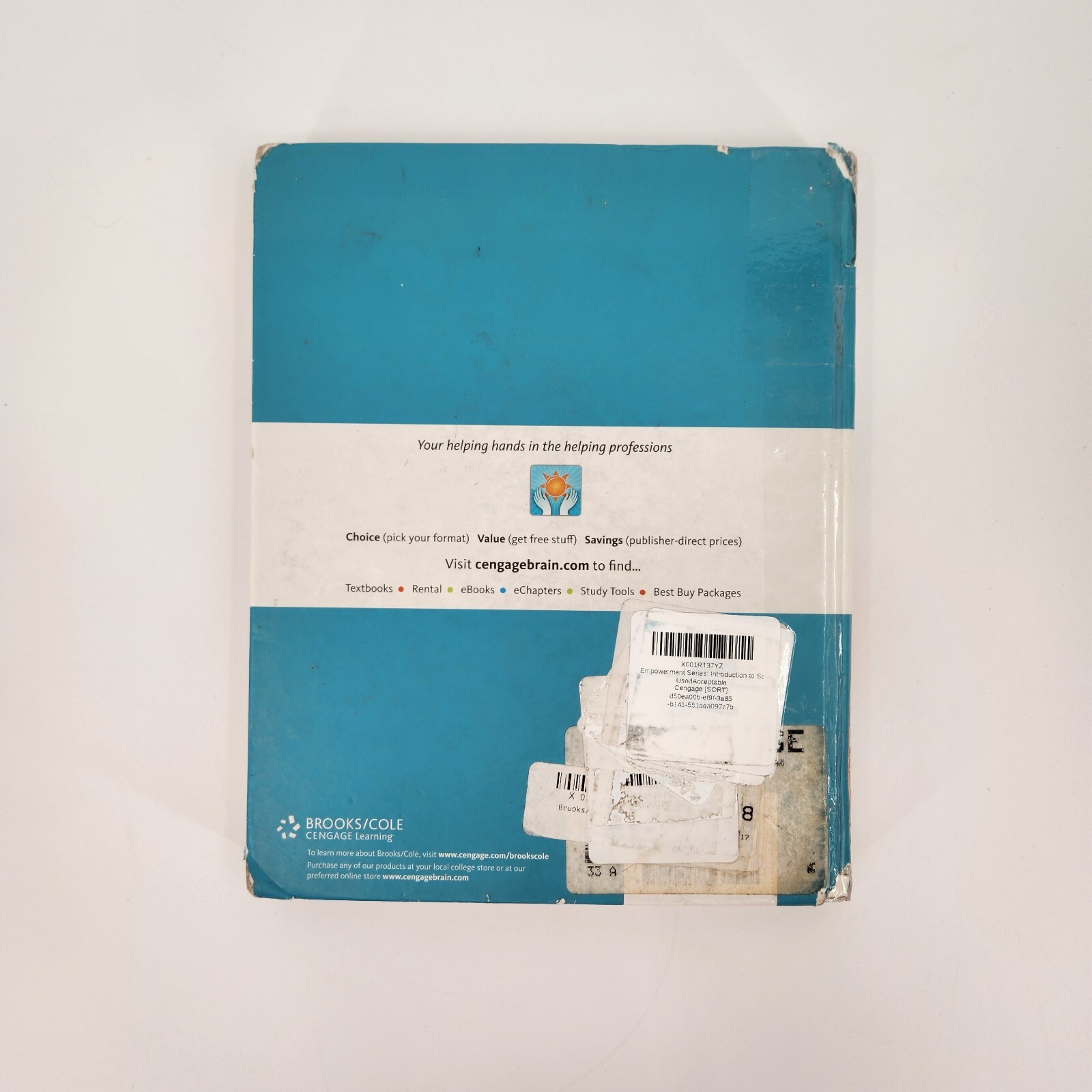 Brooks/Cole Empowerment Series: Introduction to Social Work & Social Welfare