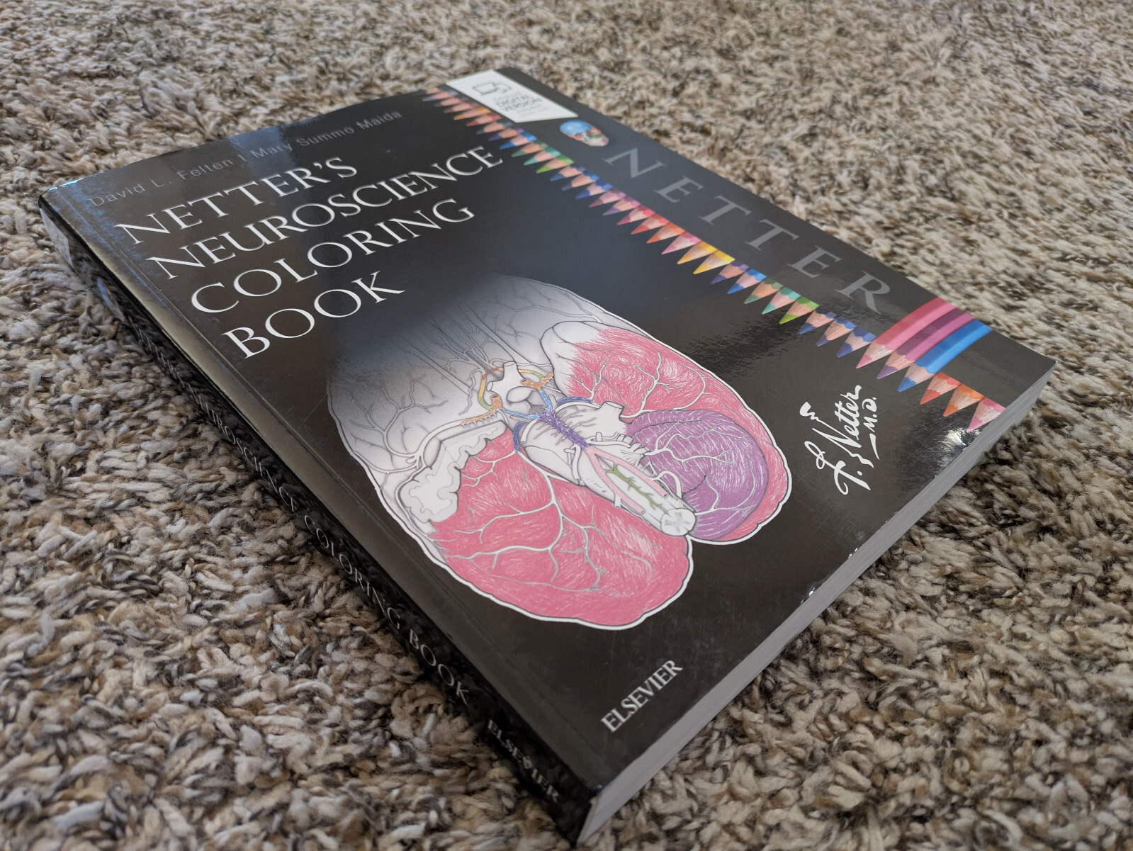 Netter’s Neuroscience Coloring Book | Felton & Maida | 2018 Paperback | LIKE NEW