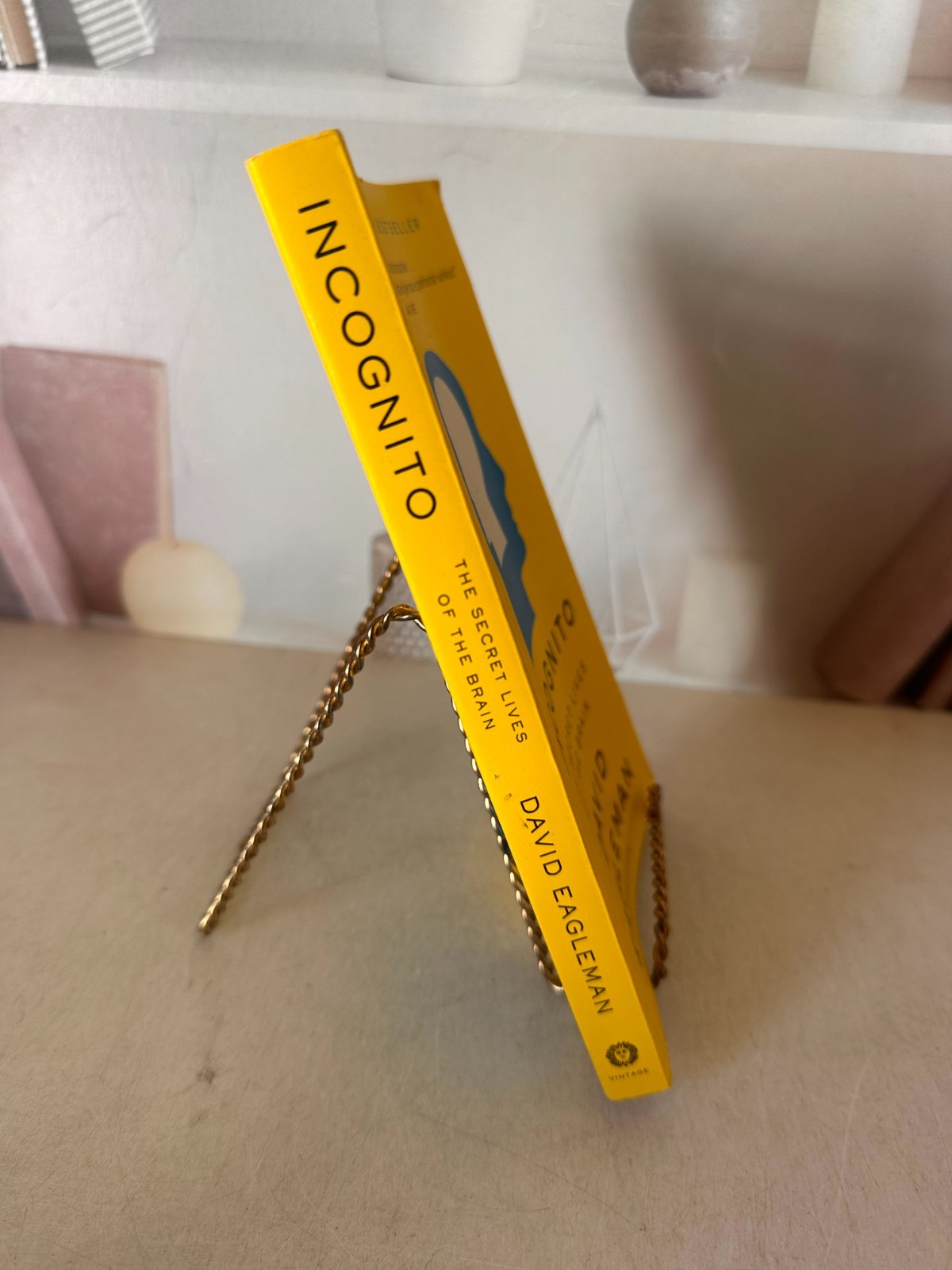 Incognito: The Secret Lives of The Brain (Canons) by David Eagleman