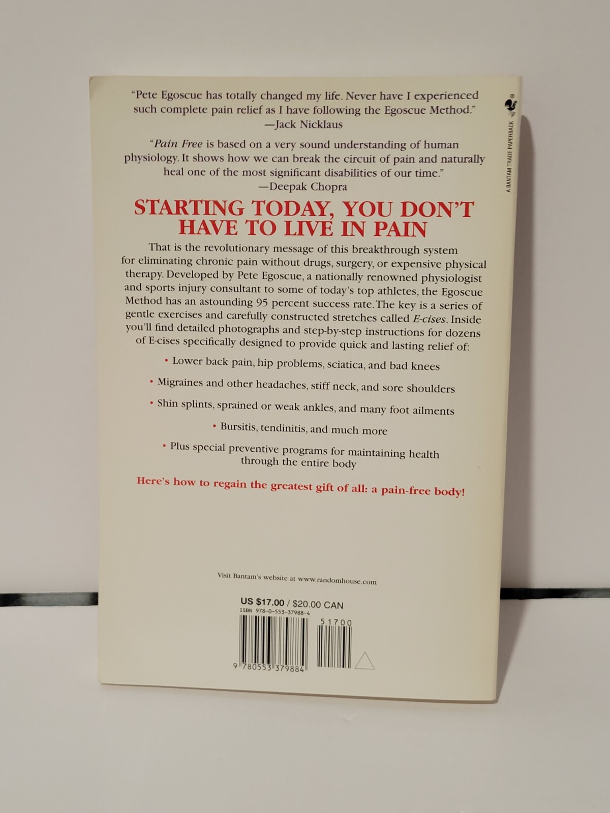 Pain Free: A Revolutionary Method for Stopping Chronic Pain Egoscue, Pete, Gitt
