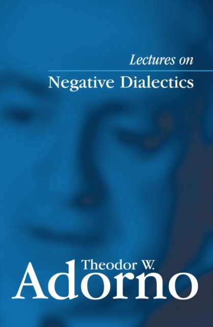Lectures on Negative Dialectics by Theodor W Adorno PAPERBACK 9780745635101