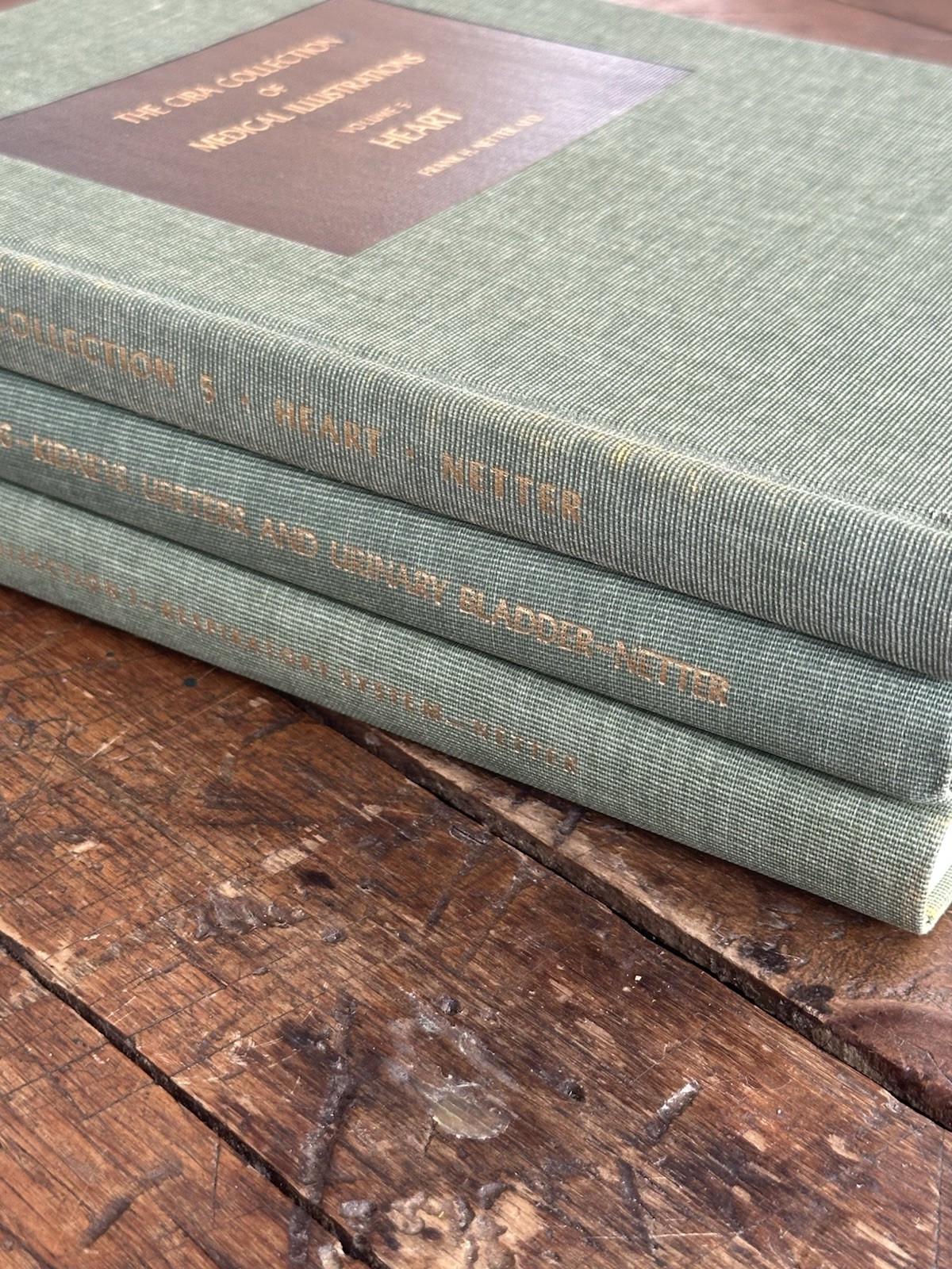 Frank H Netter CIBA Medical Illustrations Heart Kidneys Respiratory 3 Book Set