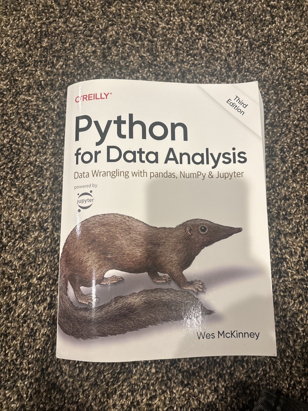 Python For Data Analysis Data Wrangling With Pandas, Numpy And Jupyter 3rd ED