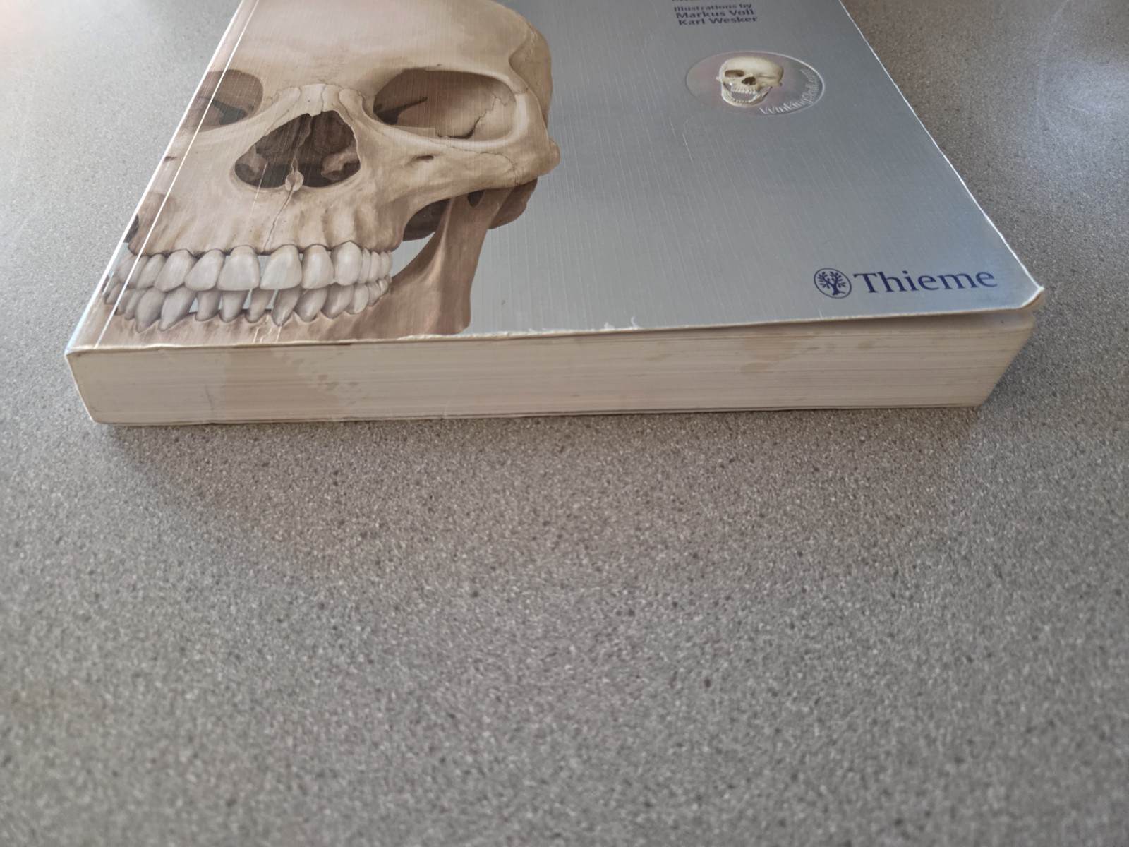 Thieme Atlas of Anatomy Ser.: Head and Neuroanatomy by Erik Schulte, Lawrence…