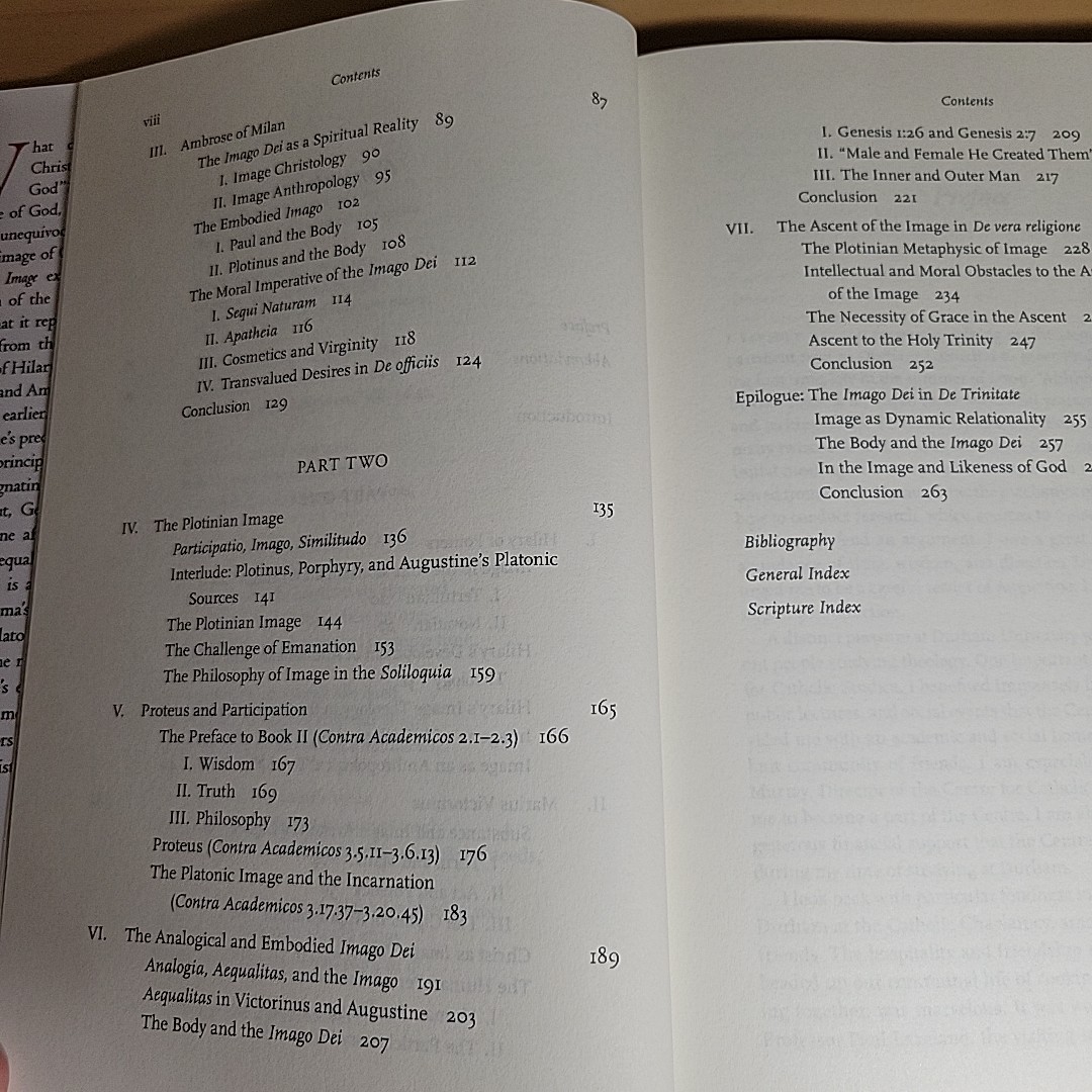 Augustine’s Early Theology of Image A Study In The Development P. Gerald Boersma