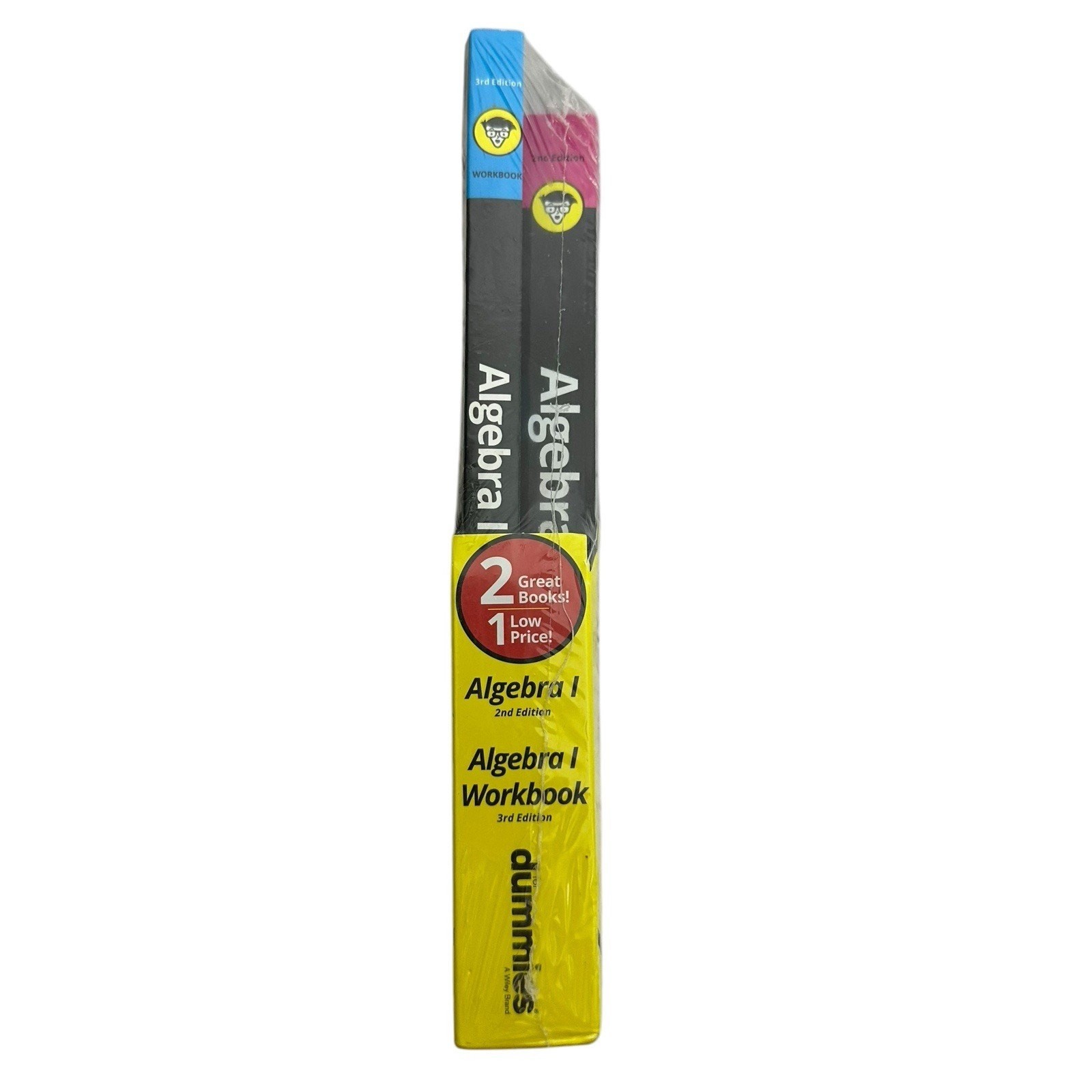 Algebra I for Dummies Book and Workbook Bundle by Mary Jane Sterling New
