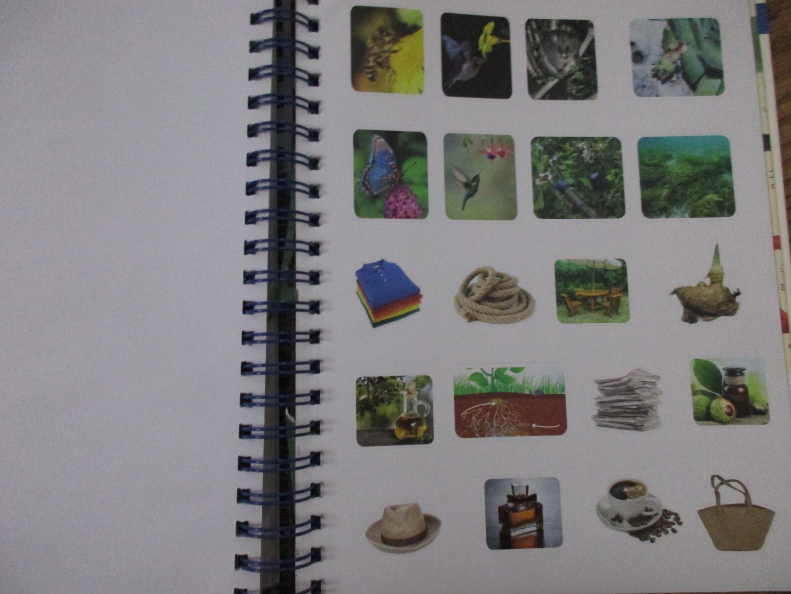 Puzzle Book & Stickers-Solve, Stick, and Learn (Wonders of Learning)