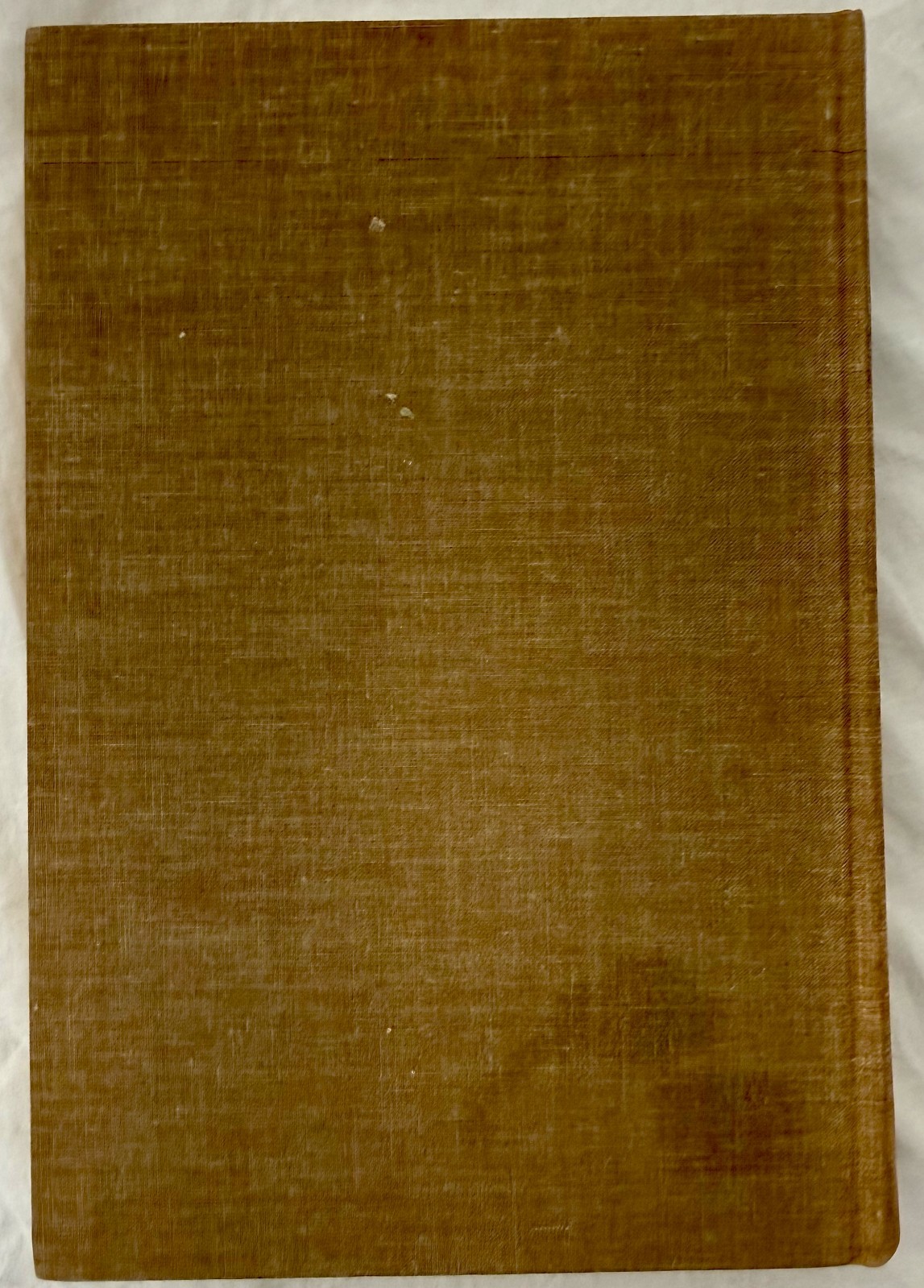 Meaning and Knowledge Systematic Readings in Epistemology 1965 Nagel and Brandt
