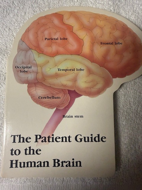 The Patient Guide to the Human Brain Book