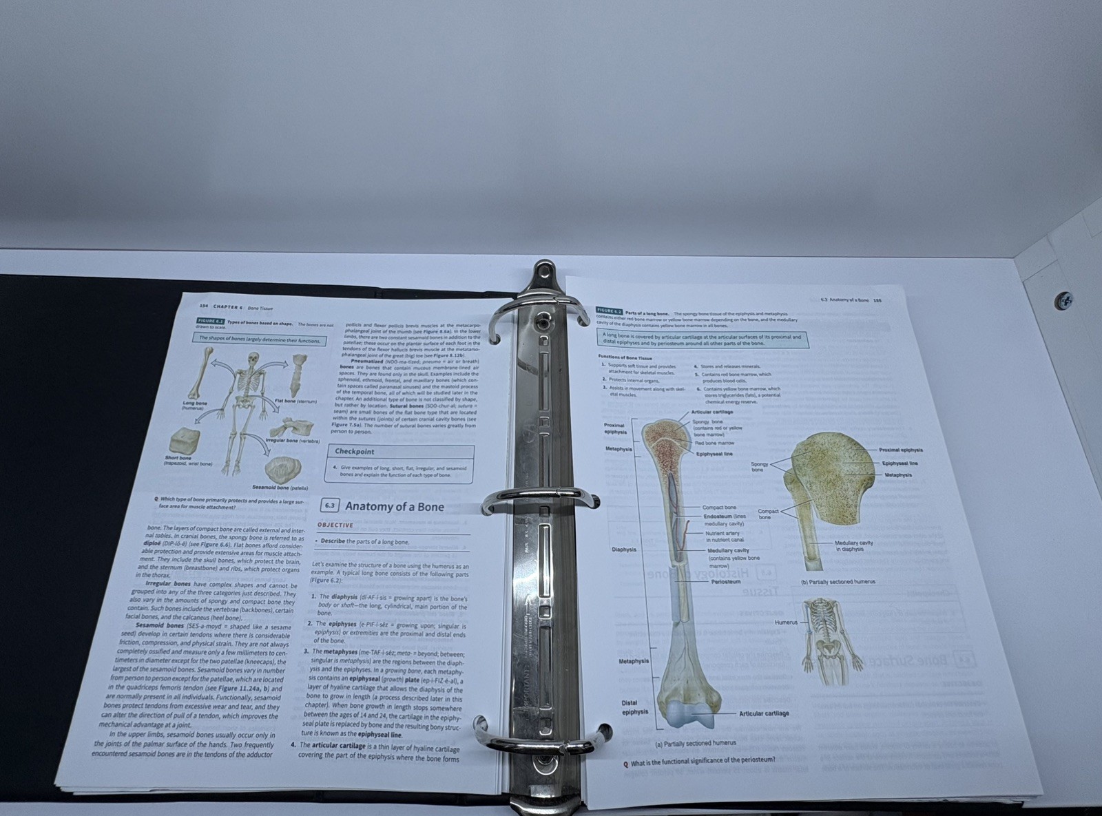 Principles Of Human Anatomy 15th Edition Loose-Leaf Binder By Tortora & Nielsen