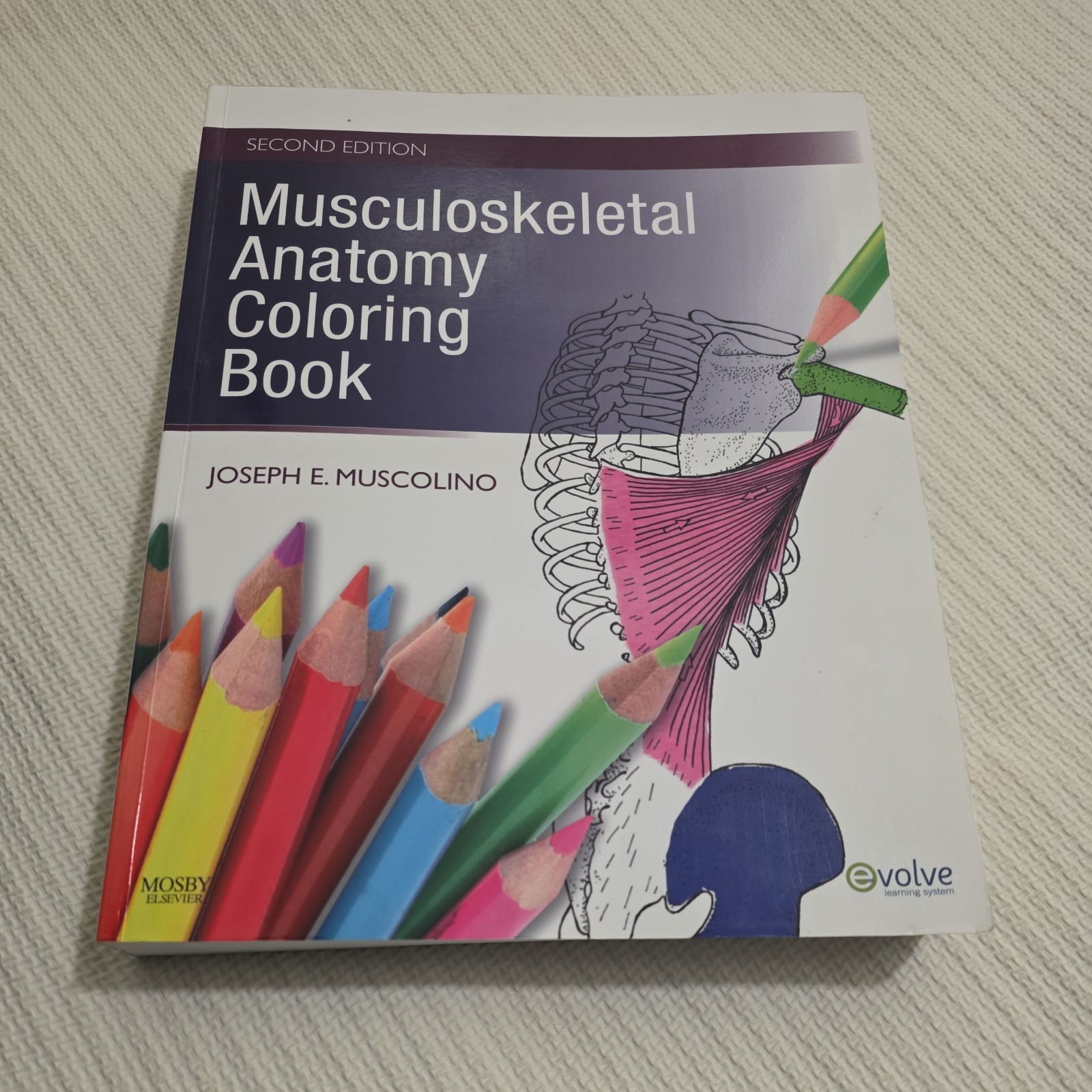 Musculoskeletal Anatomy Coloring Book