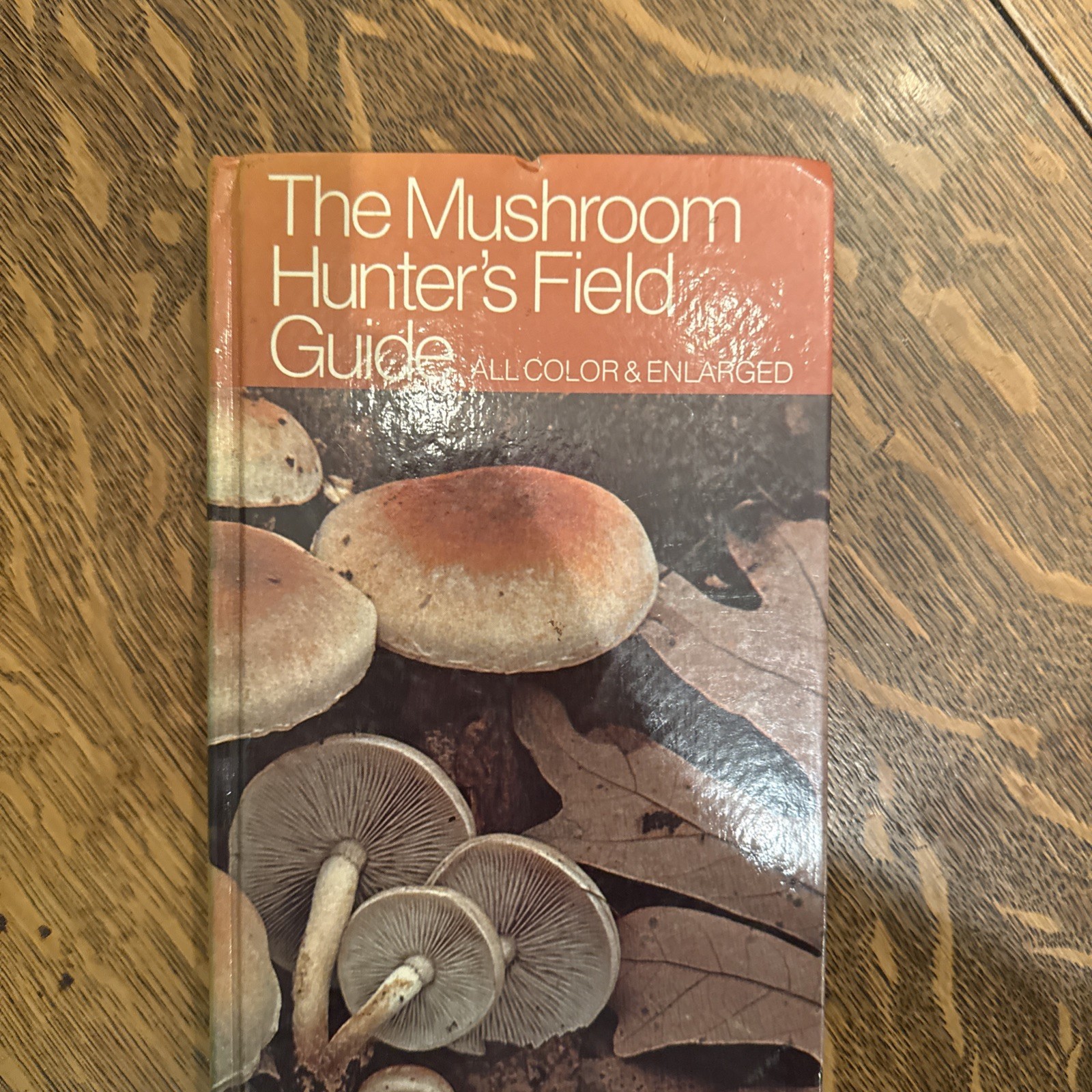 Mushroom Hunter’s Field Guide by Nancy Smith Weber and Alexander H. Smith (1980,