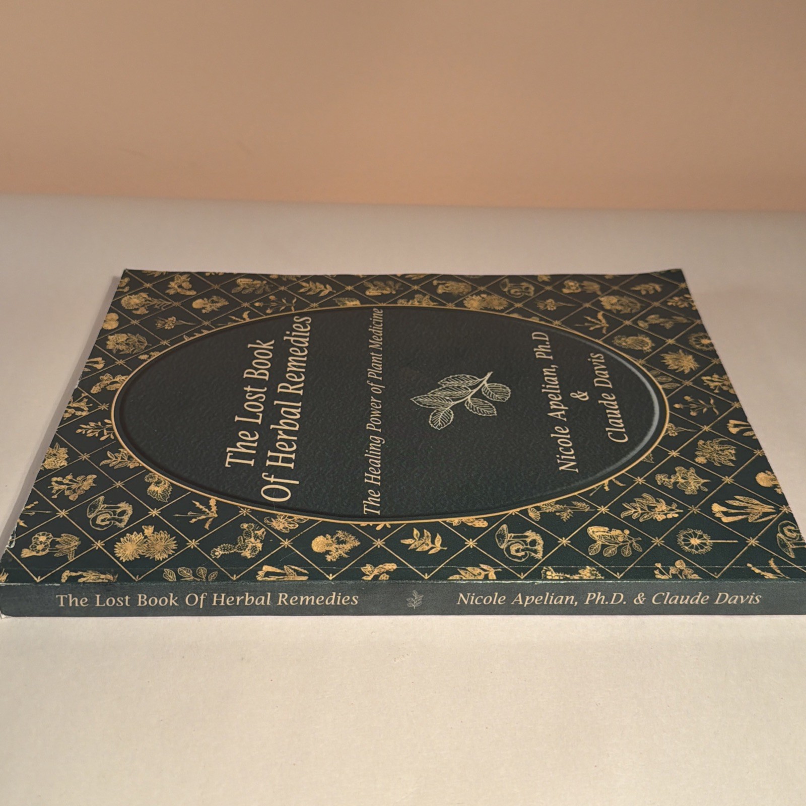 The Lost Book of Herbal Remedies (paperback with color pictures)