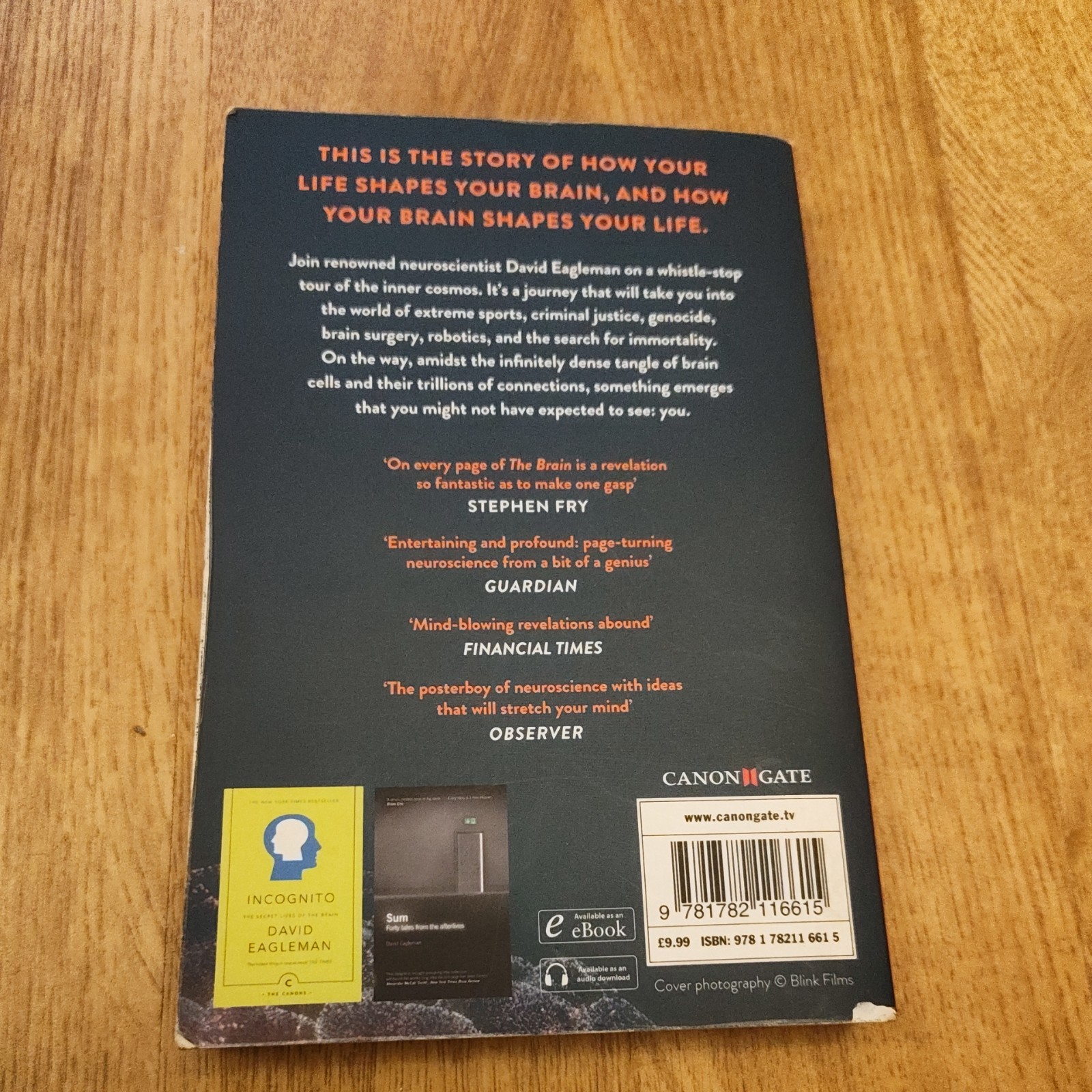 The Brain: The Story of You-David Eagleman, 9781782116615