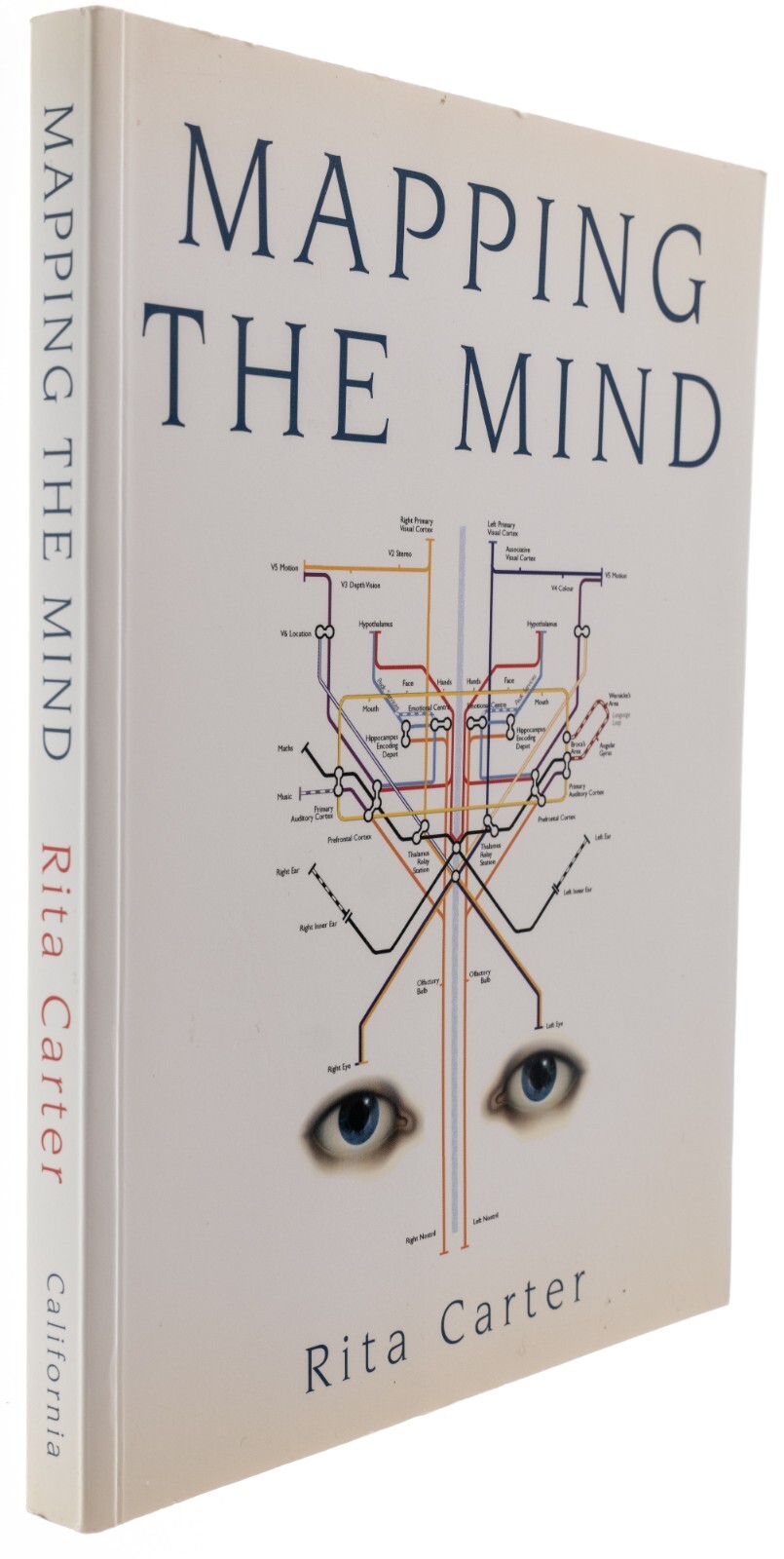 Mapping the Mind 1st Paperback Printing (Italy) 1st Edition Rita Carter 1998/99