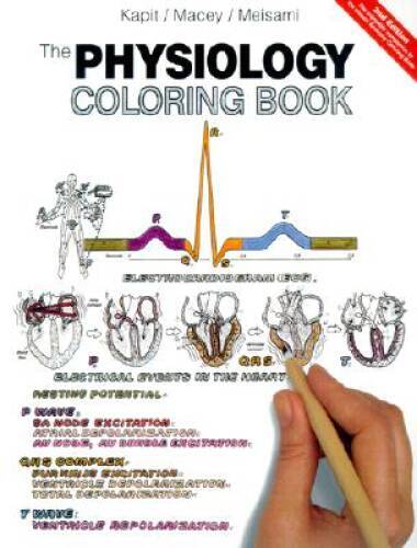 The Physiology Coloring Book (2nd Edition) – Paperback By Kapit, Wynn – GOOD