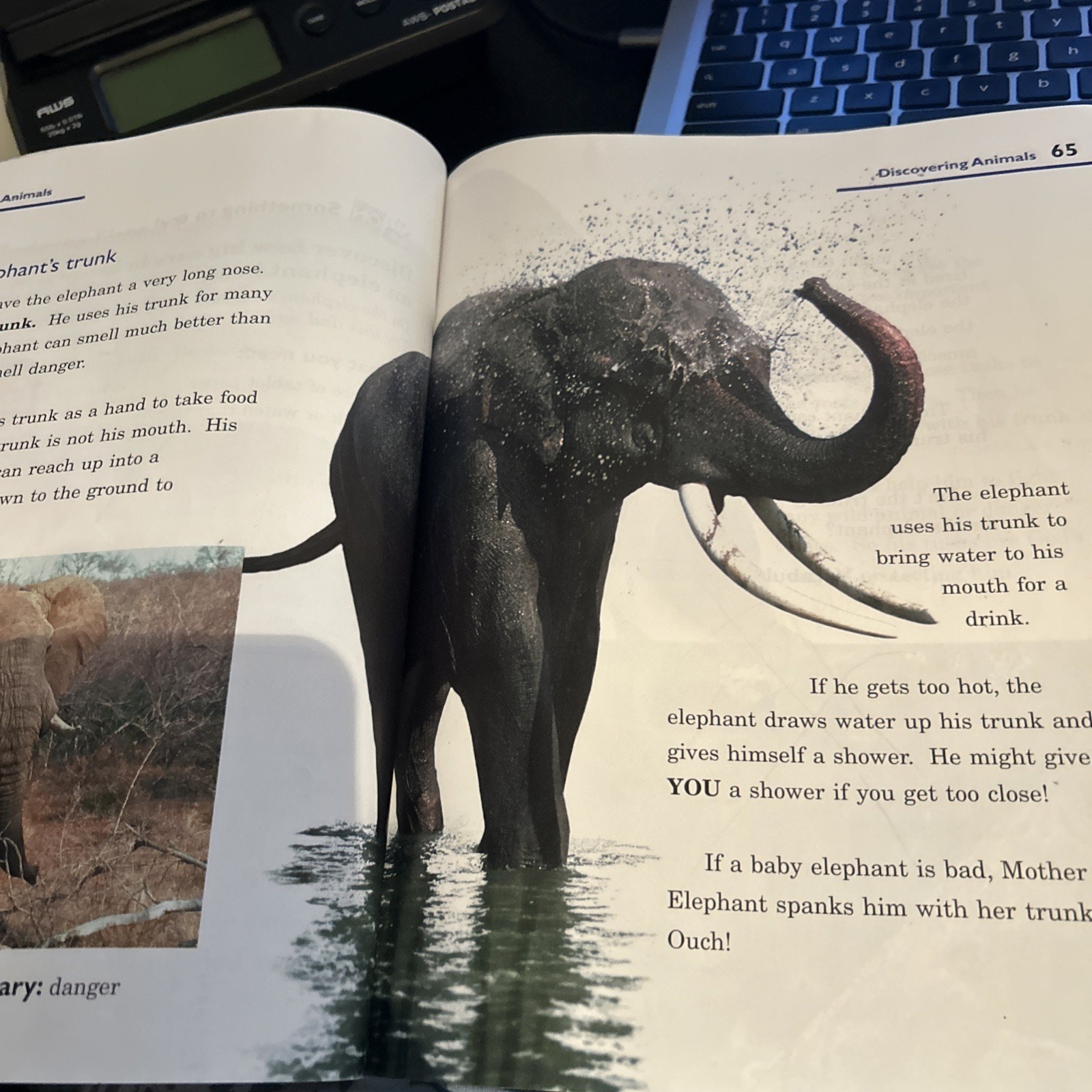 A Beka Science Reader Discovering God’s World 1st Grade Abeka 1 Book