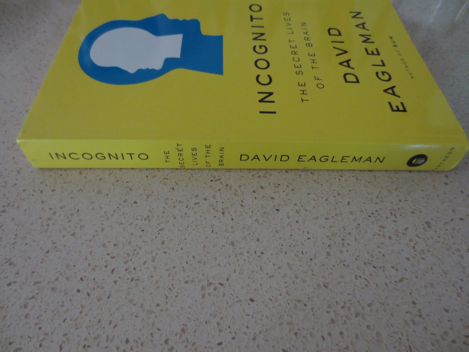 Incognito: The Secret Lives of the Brain by Eagleman, David – PB/VG