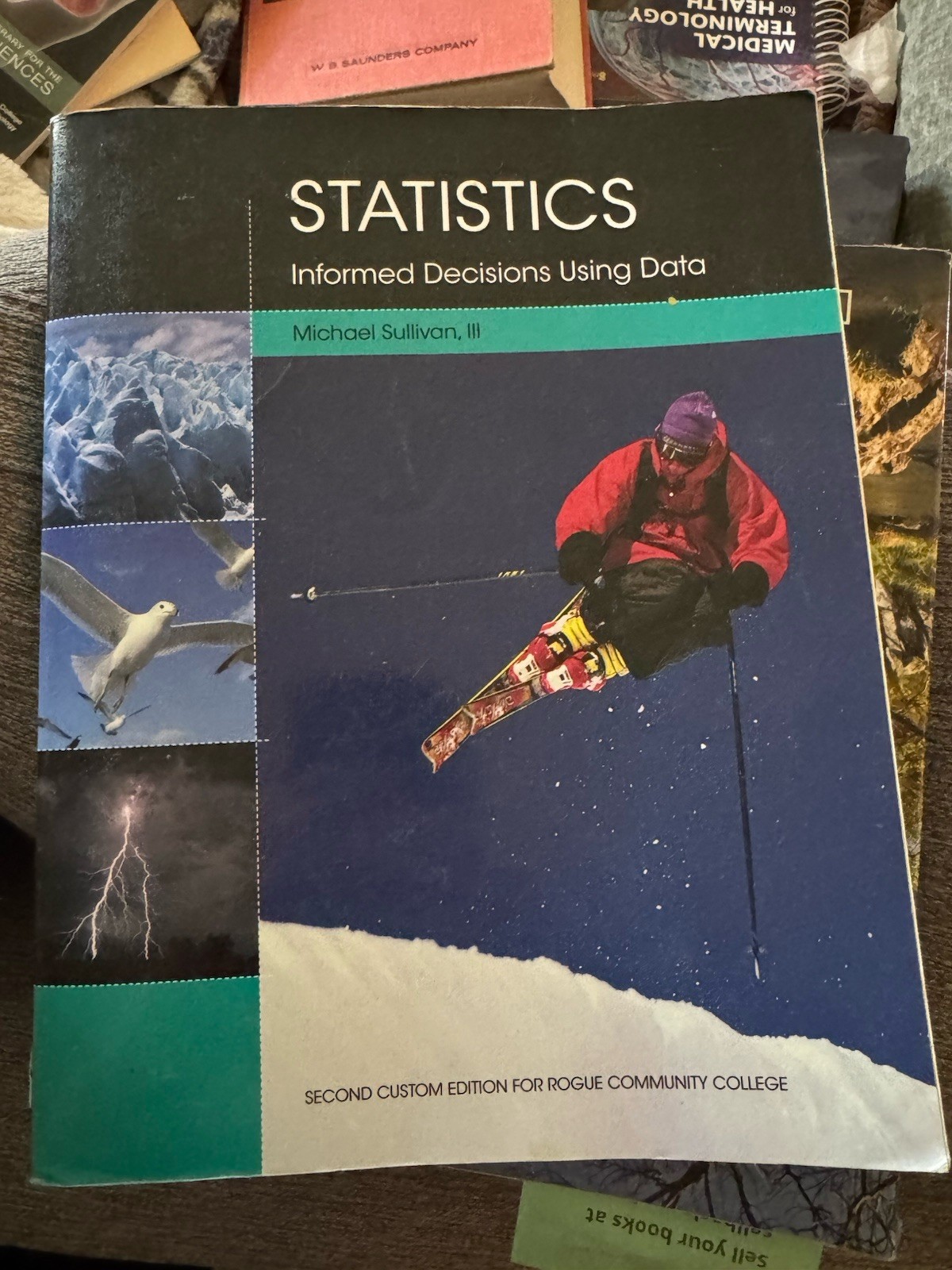 Michael Sullivan III Statistics: Informed Decisions Using Data Custom Ed PB