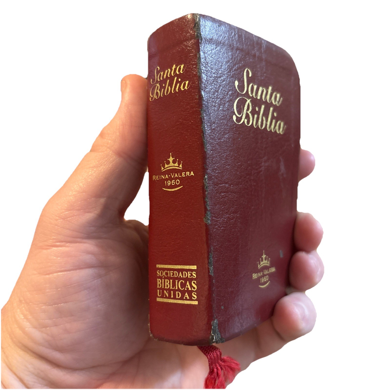 Mini Santa Biblia Reina Valera 1960 Vinilo Vino Pocas Marcas Extraña