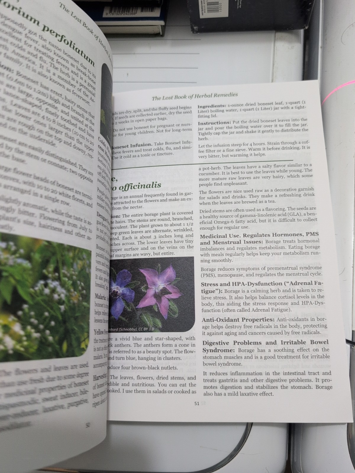 The Lost Book of Herbal Remedies (paperback with color pictures)