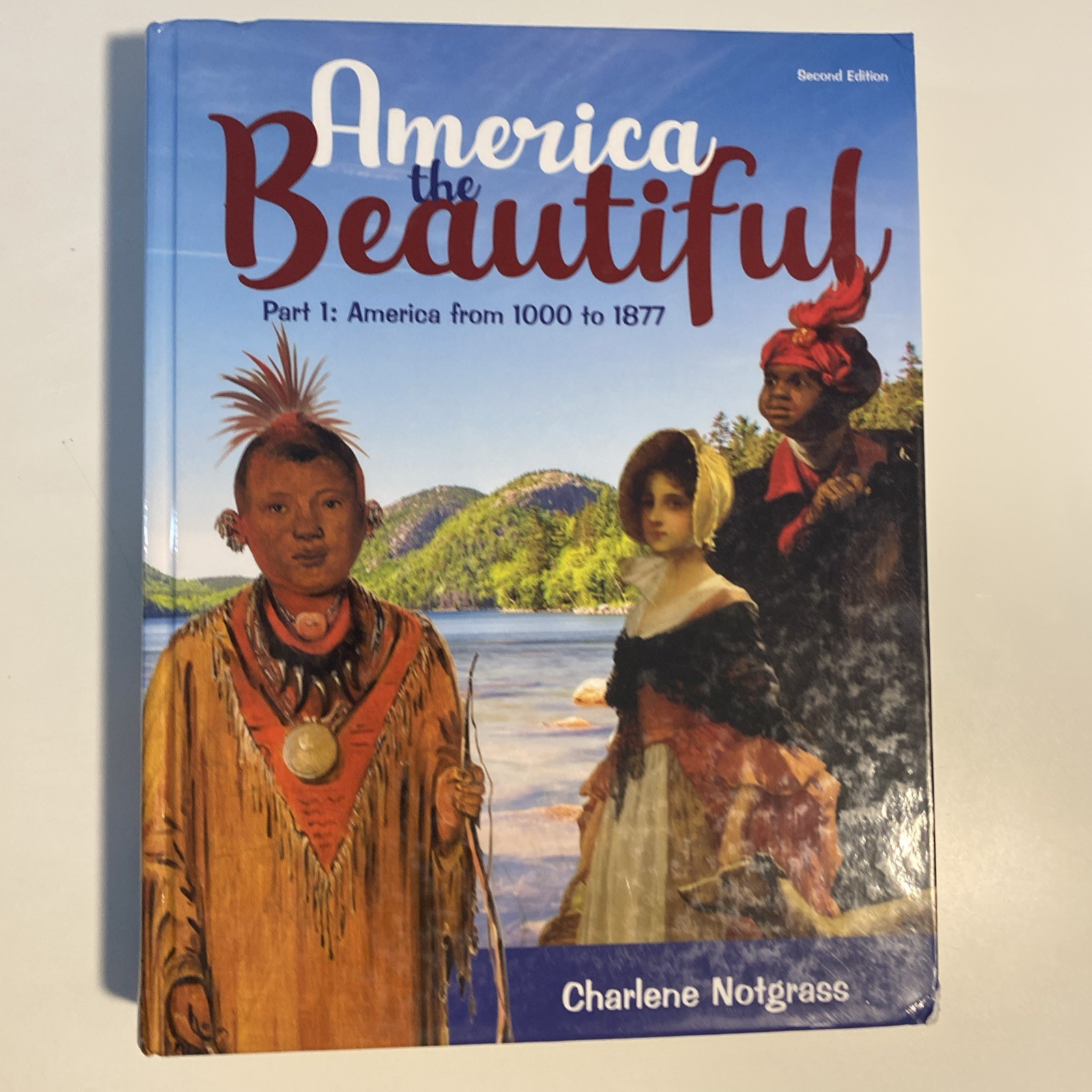 Notgrass America the Beautiful Book Set, Part 1 & 2, Like New