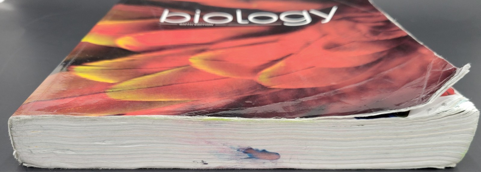 Biology Student Text & Biology Assessment 6th Edition BJU Press PB 528778-003-01