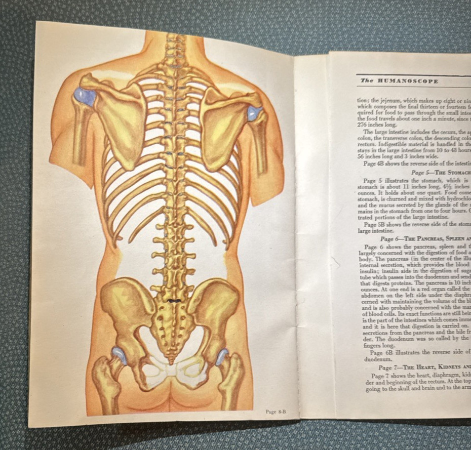 The Humanoscope of The Human Body Dr. Morris Fishbein 1949 illustrated Vintage