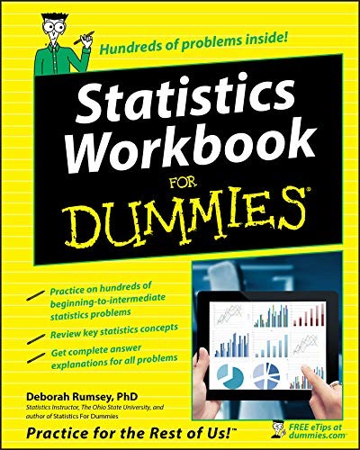 STATISTICS WORKBOOK FOR DUMMIES By Deborah J. Rumsey **Mint Condition**