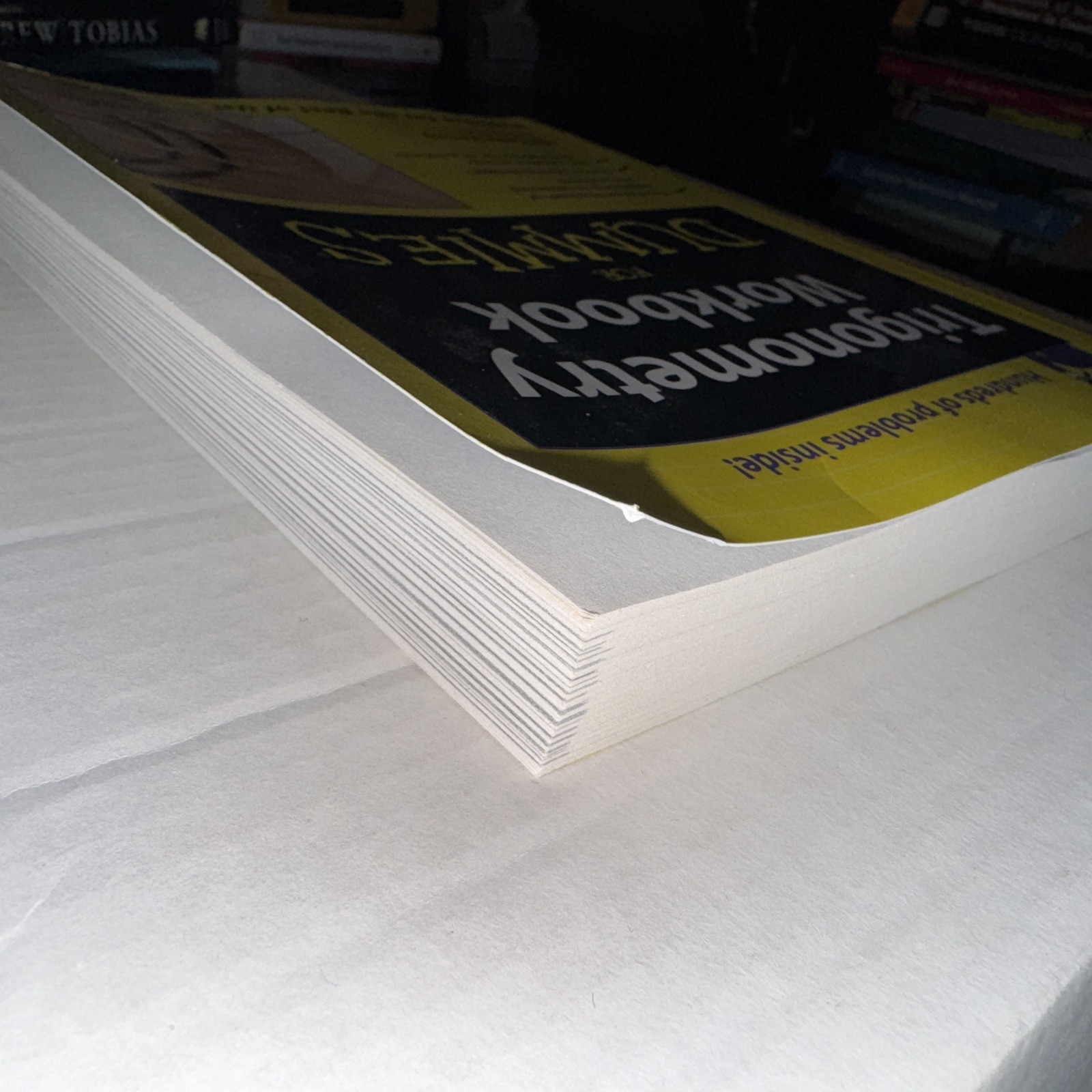Trigonometry Workbook for Dummies by Mary Jane Sterling (2005, Trade Paperback)