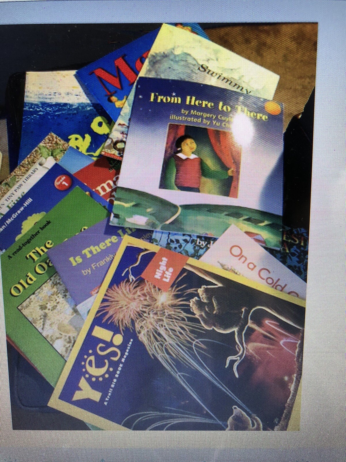 Teachers BIG BOOK Primary Grades $15 Each: Many Titles Available