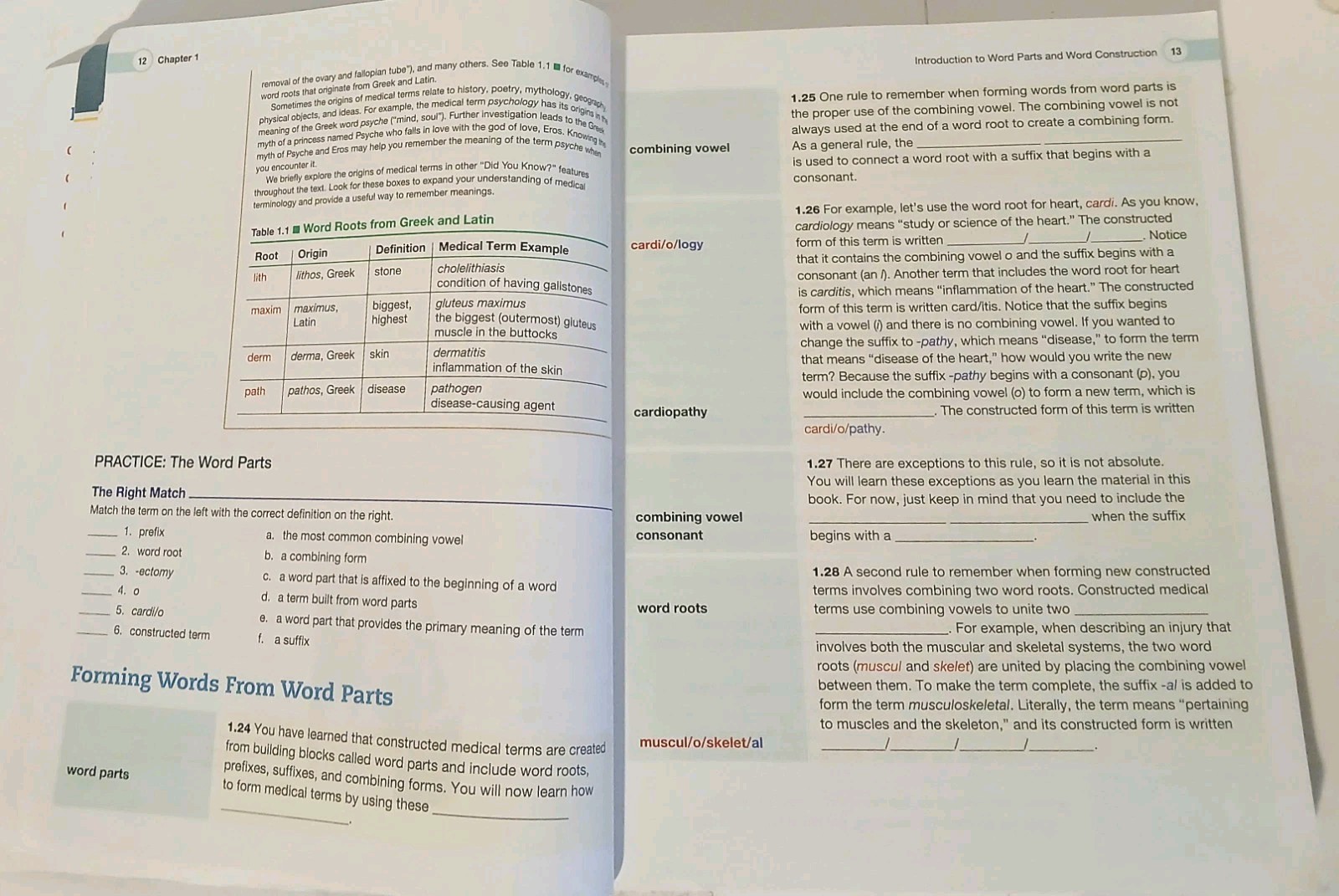 Medical Terminology Complete! – Paperback, by Wingerd – Very Good (No Writing)
