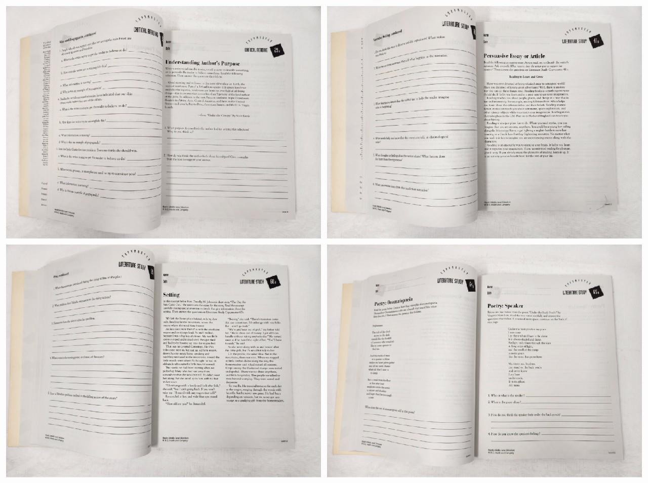 Heath Middle Level Literature Mini-Lessons Blue Level Activity Book