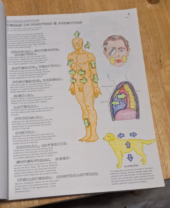 The Anatomy Coloring Book (2nd Edition), Kapit, Wynn; Elson, Lawrence M., Used;