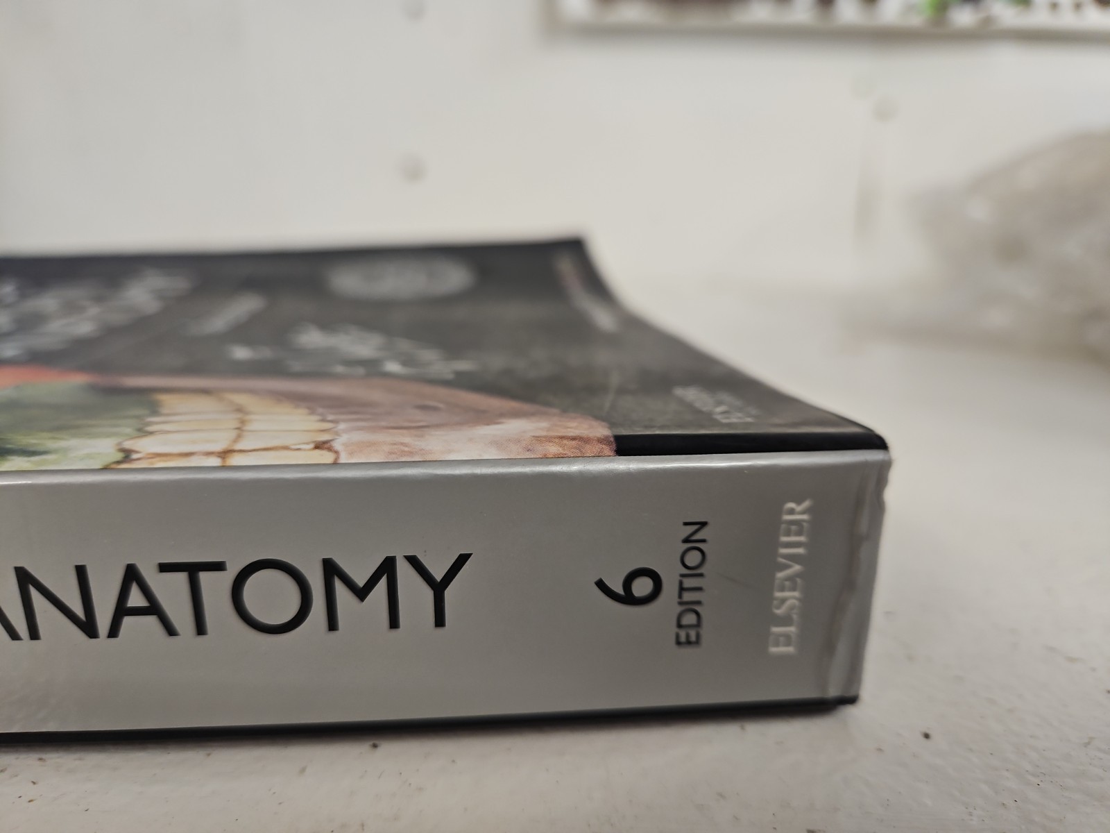 Netter Basic Science Ser.: Atlas of Human Anatomy : Including Student Consult…