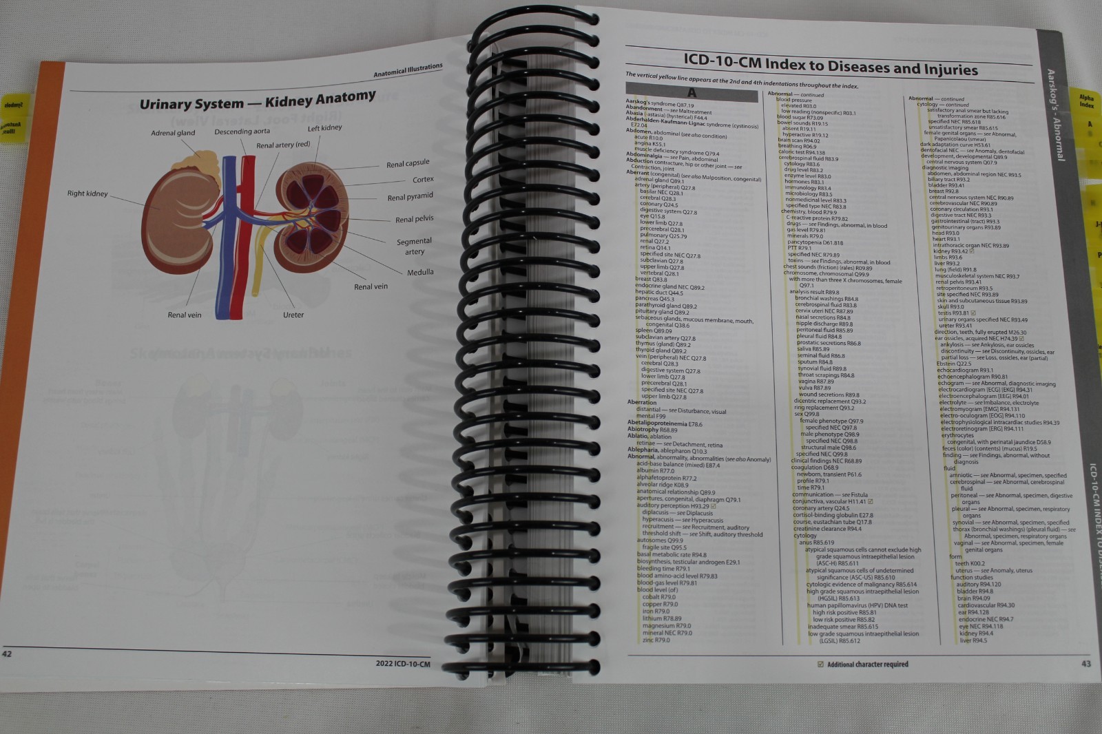 ICD-10-CM Expert 2022 for Providers Facilities (ICD-10-CM Complete Co)