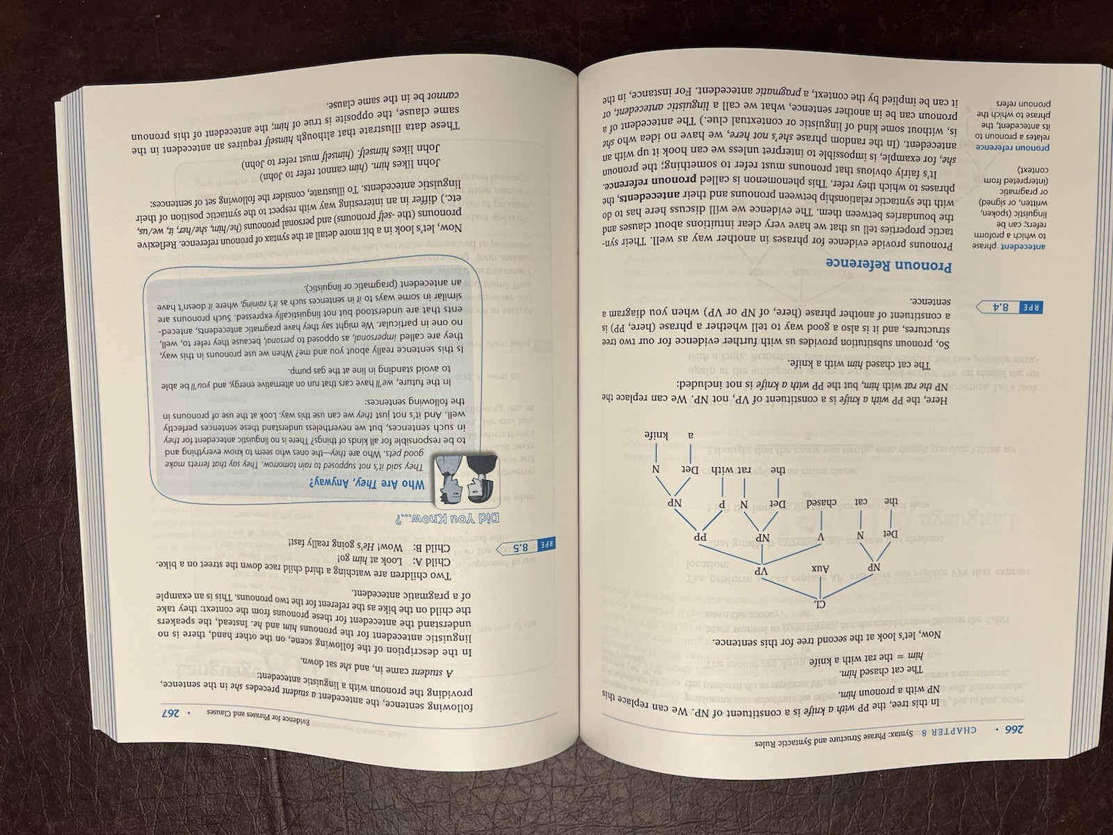 Linguistics for Everyone : An Introduction by Kristin Denham and Anne Lobeck