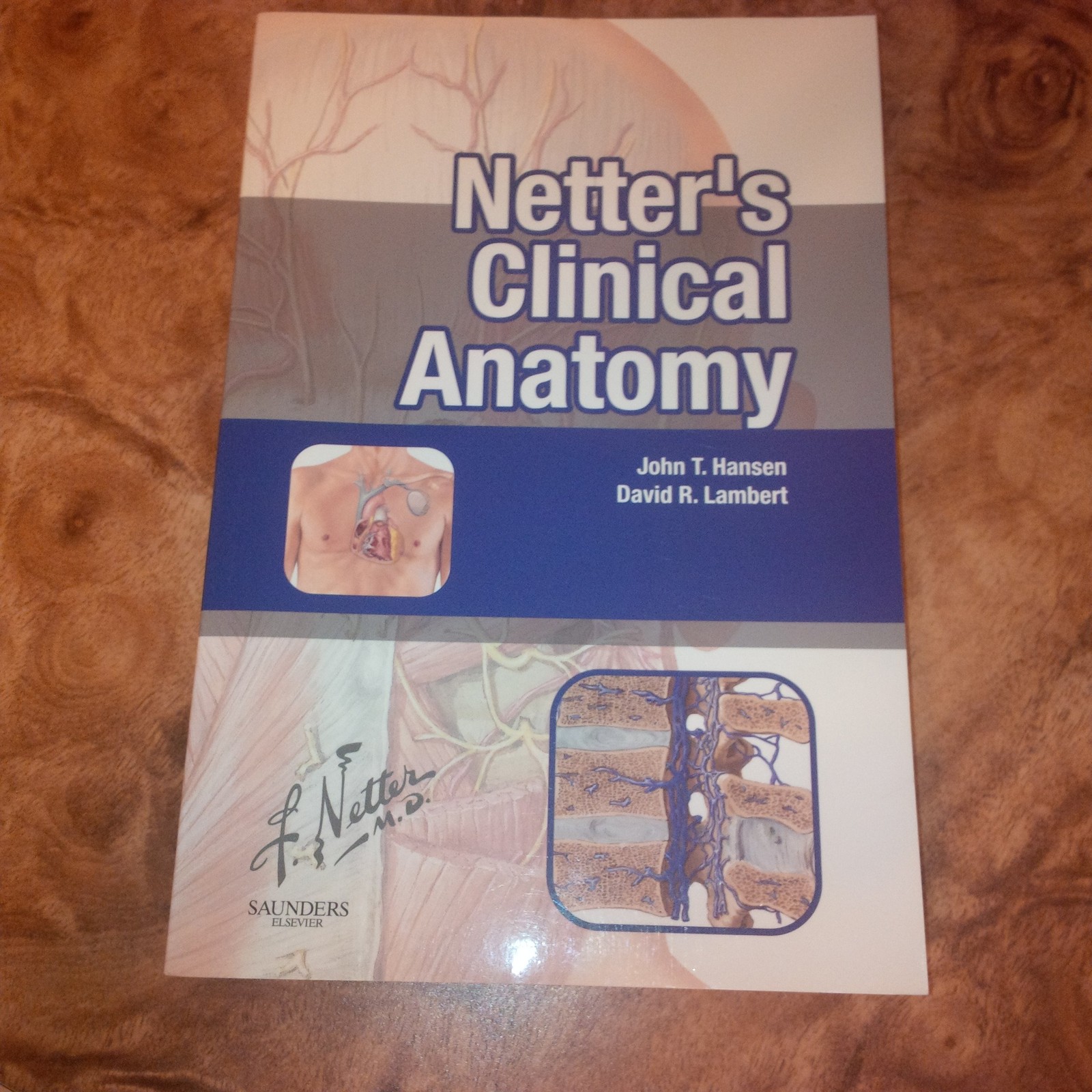 Netter’s Clinical Anatomy (Netter Basic Science)