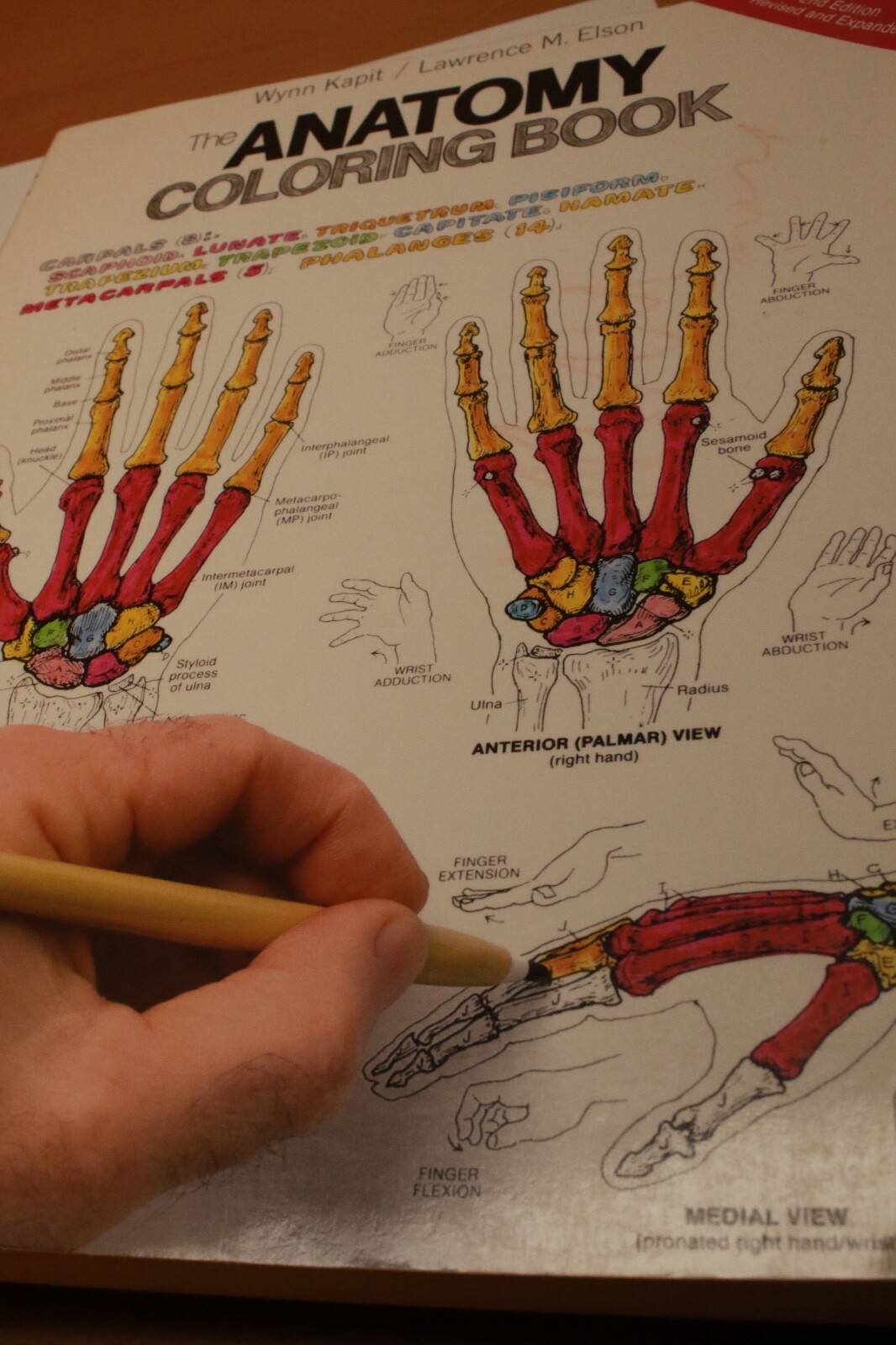 The Anatomy Coloring Book By W. Kapit, L. M. Elson & The Biology C.B. By Griffin
